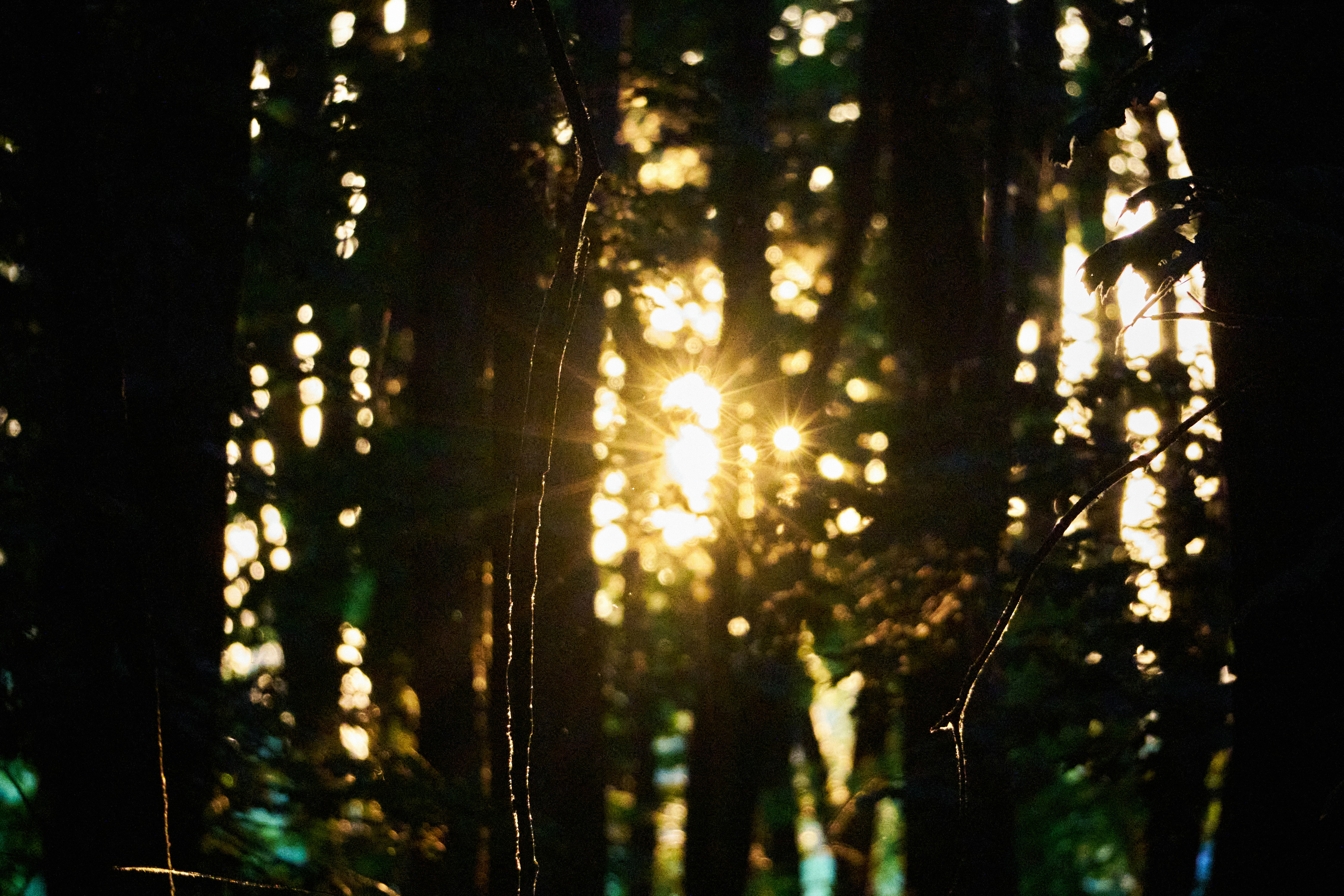 Photo by lostillusion