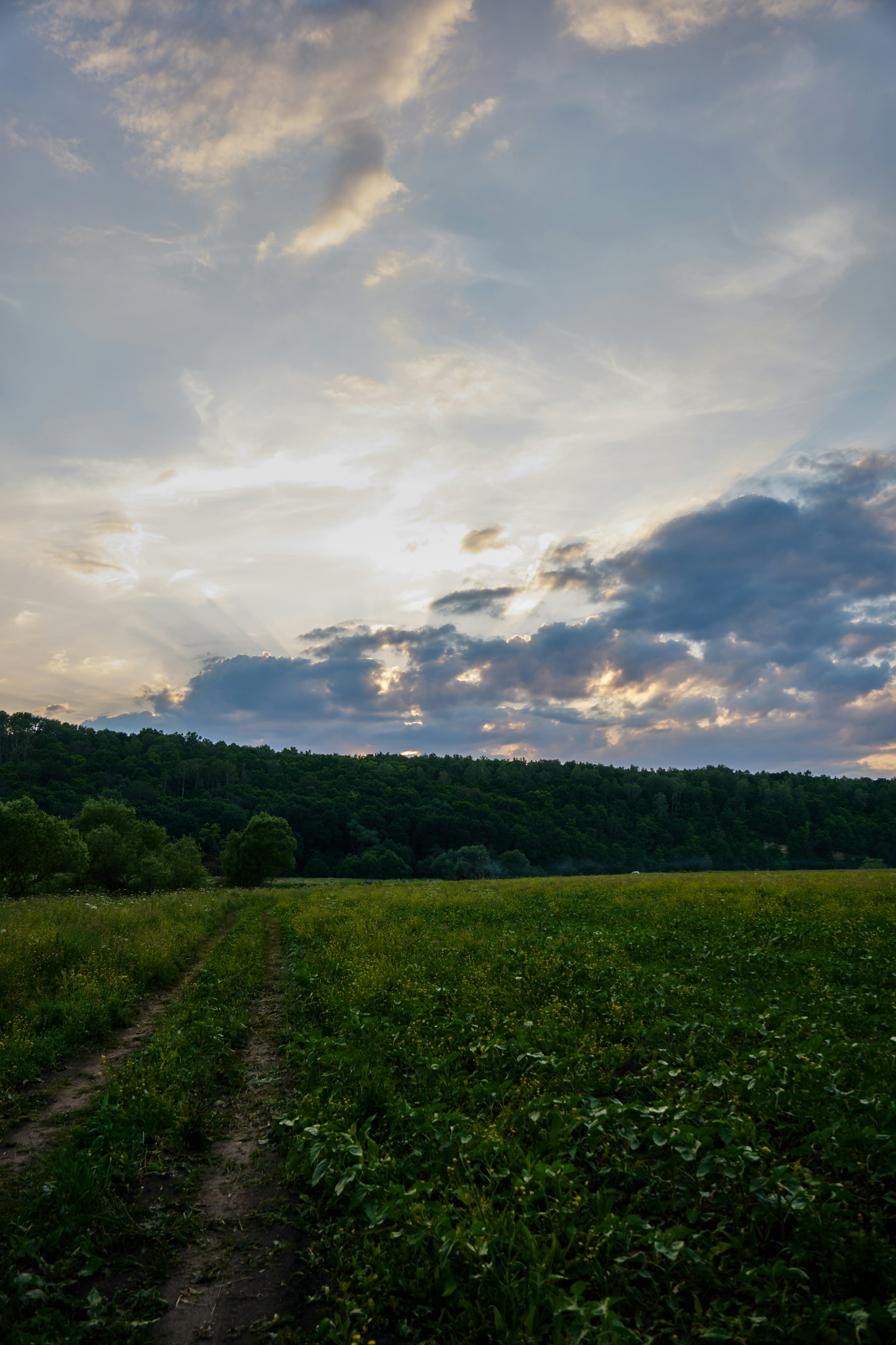 Photo by lostillusion