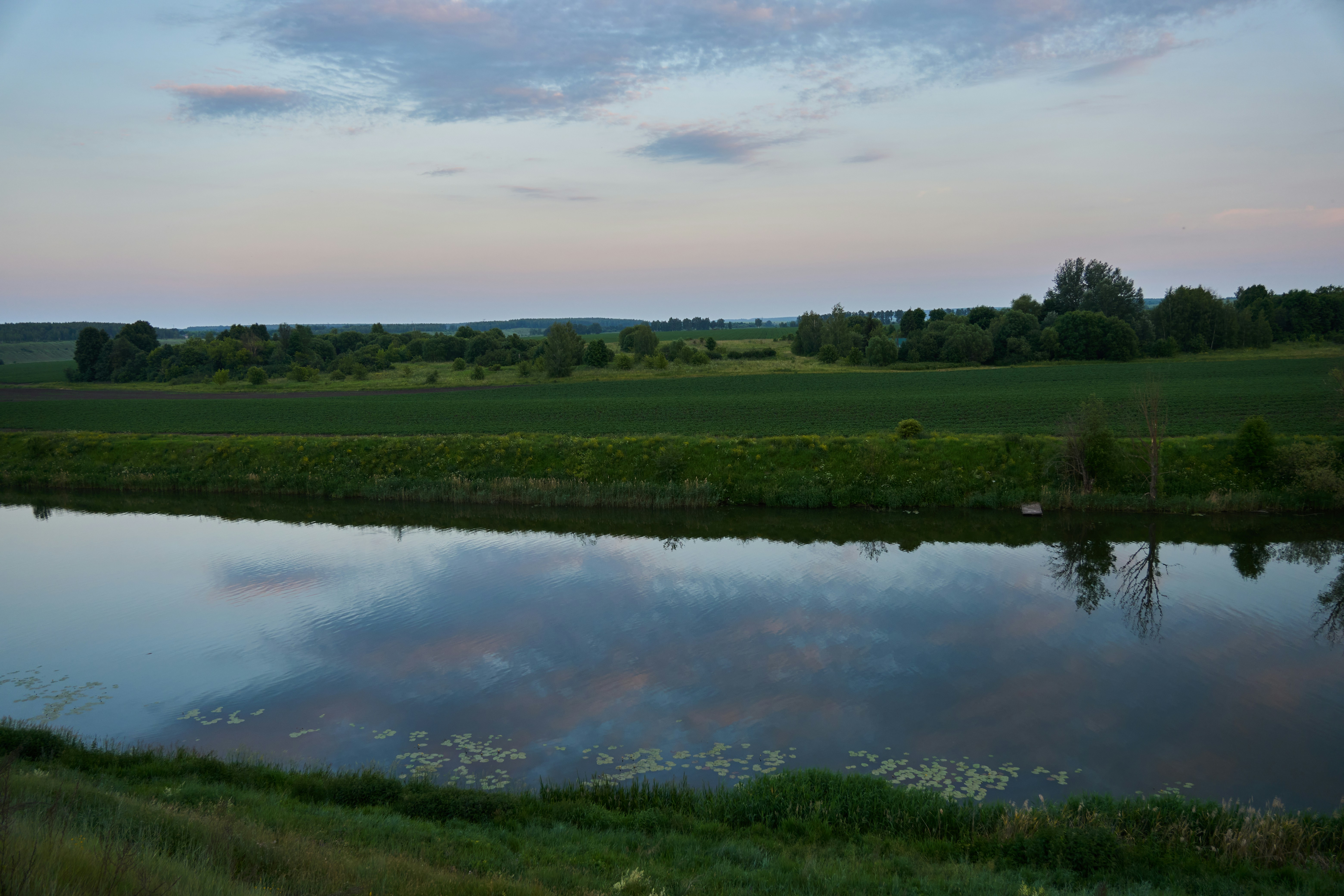 Photo by lostillusion