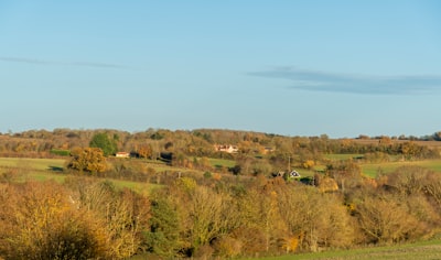 Countryside landscape bathed in orange sunlight