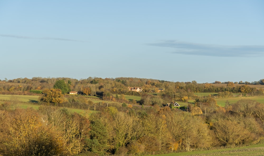 a green field with trees and houses in the distance