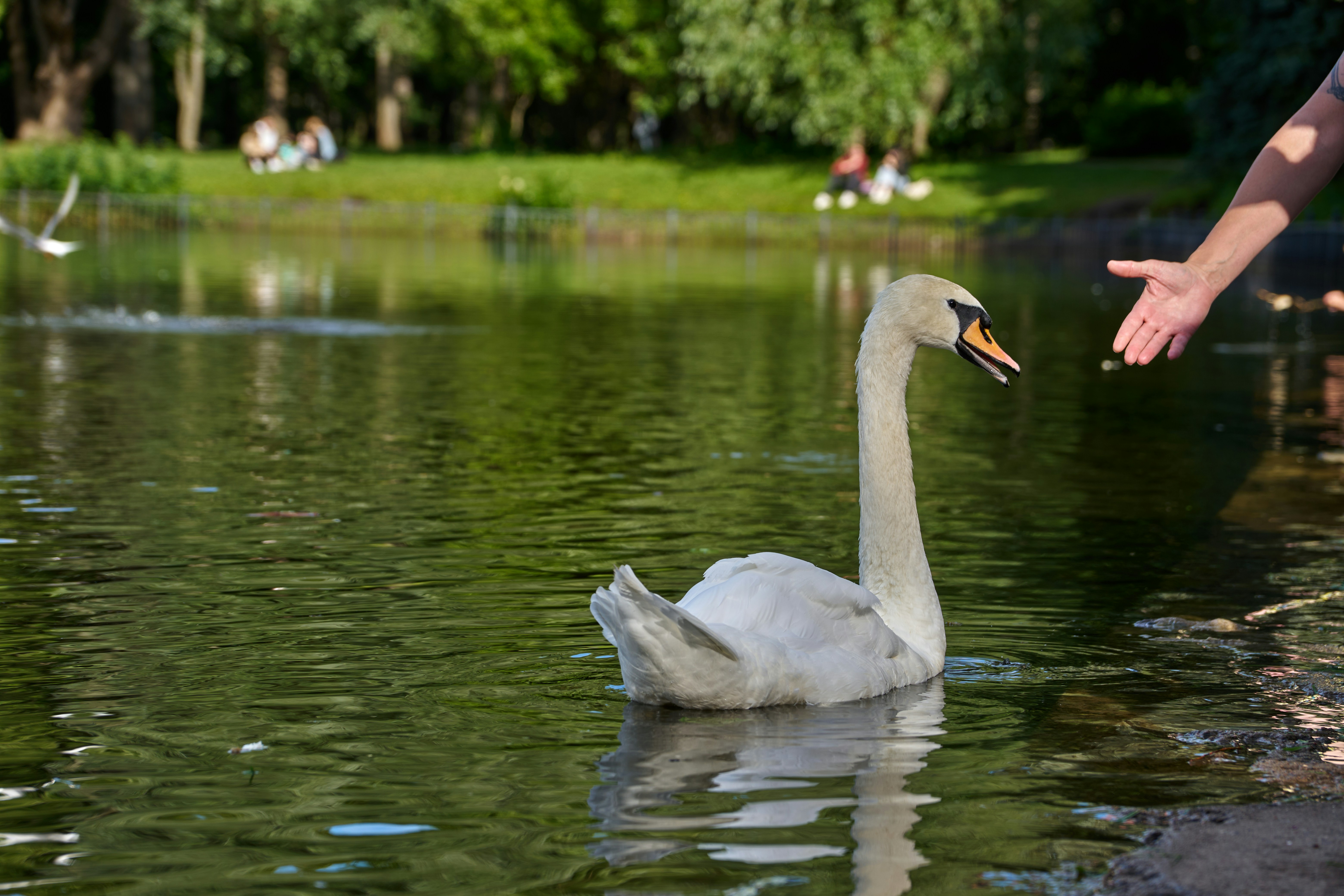 Photo by lostillusion