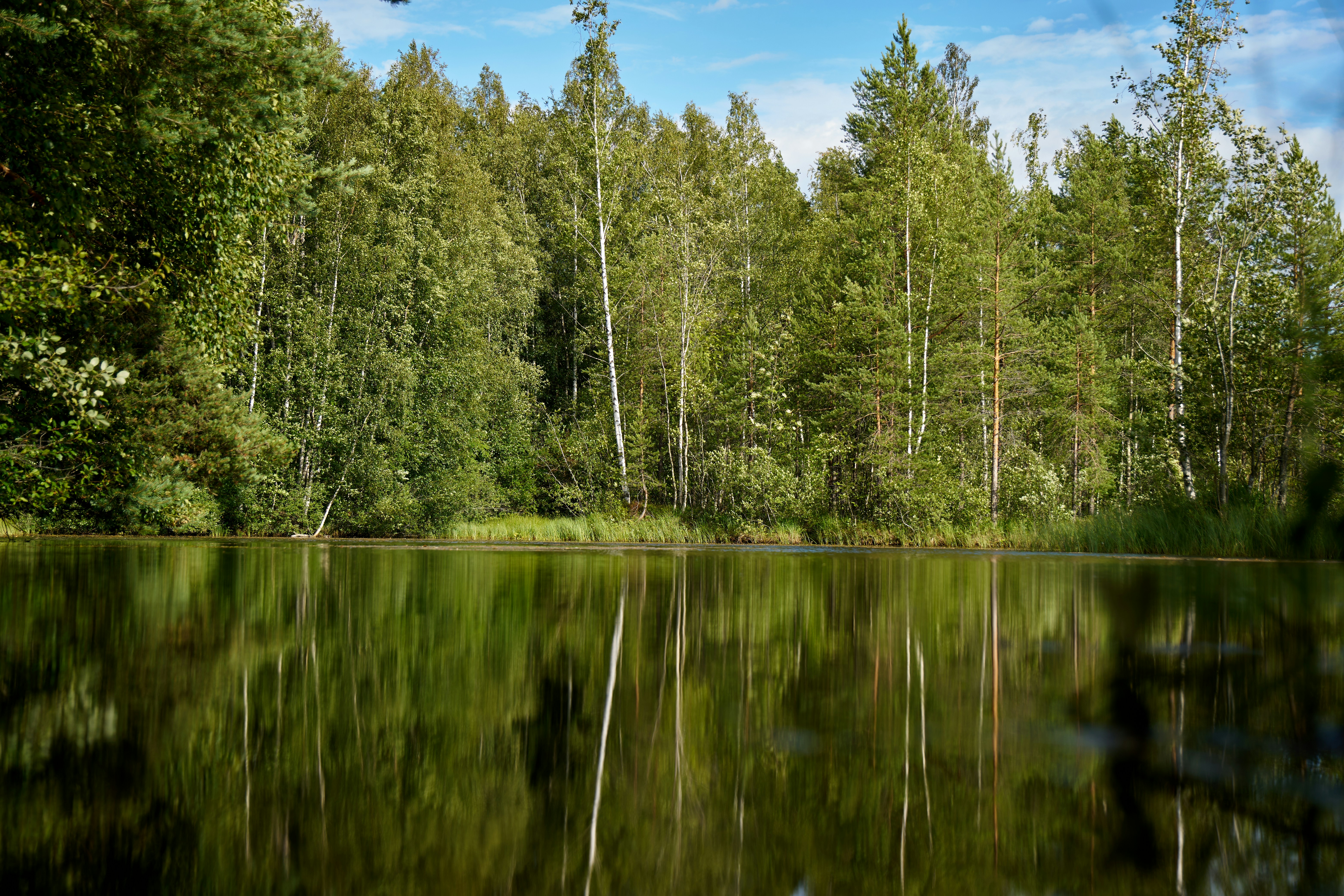 Photo by lostillusion