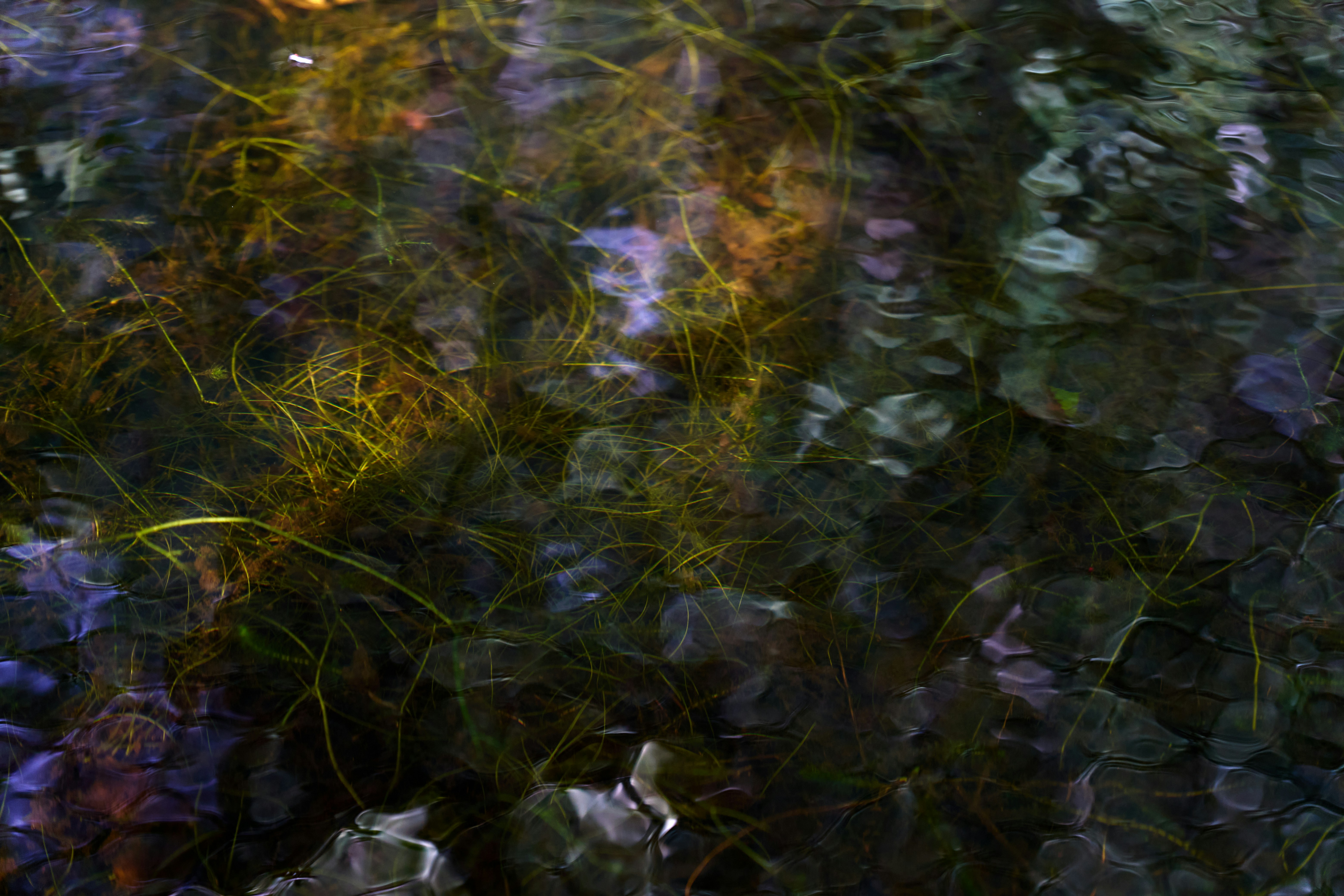 Photo by lostillusion