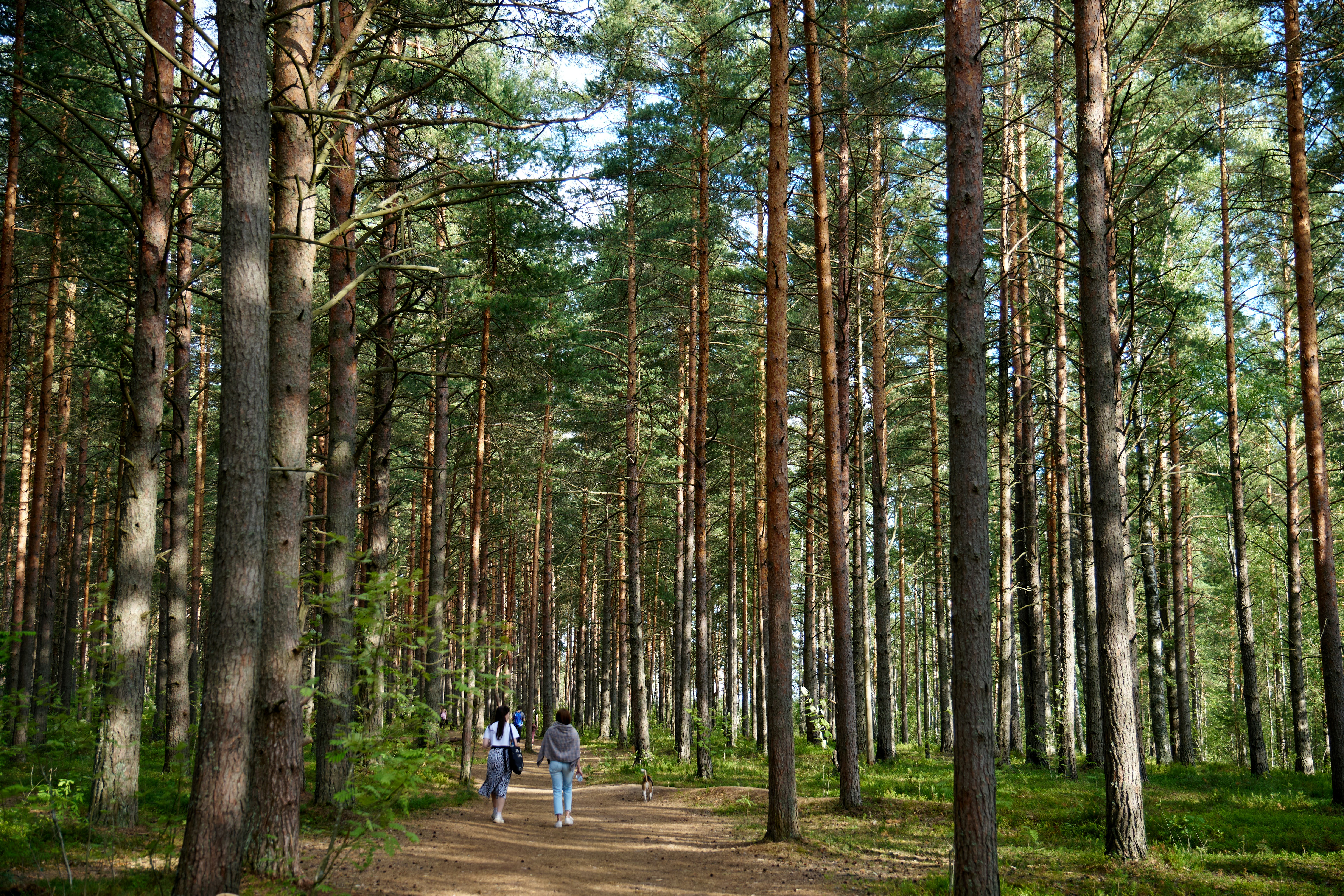 곡성교육 중장기 발전계획 수립
