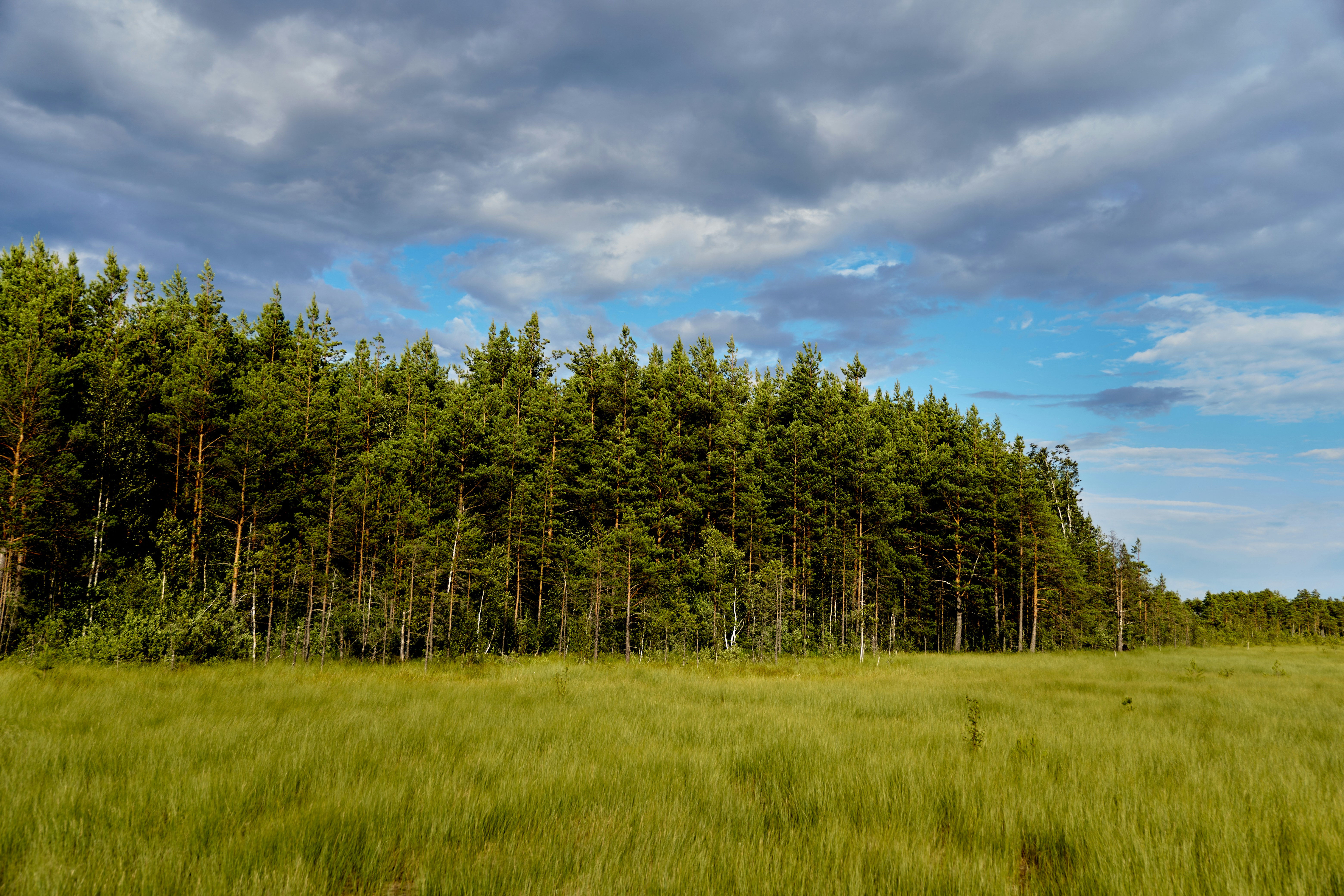 Photo by lostillusion