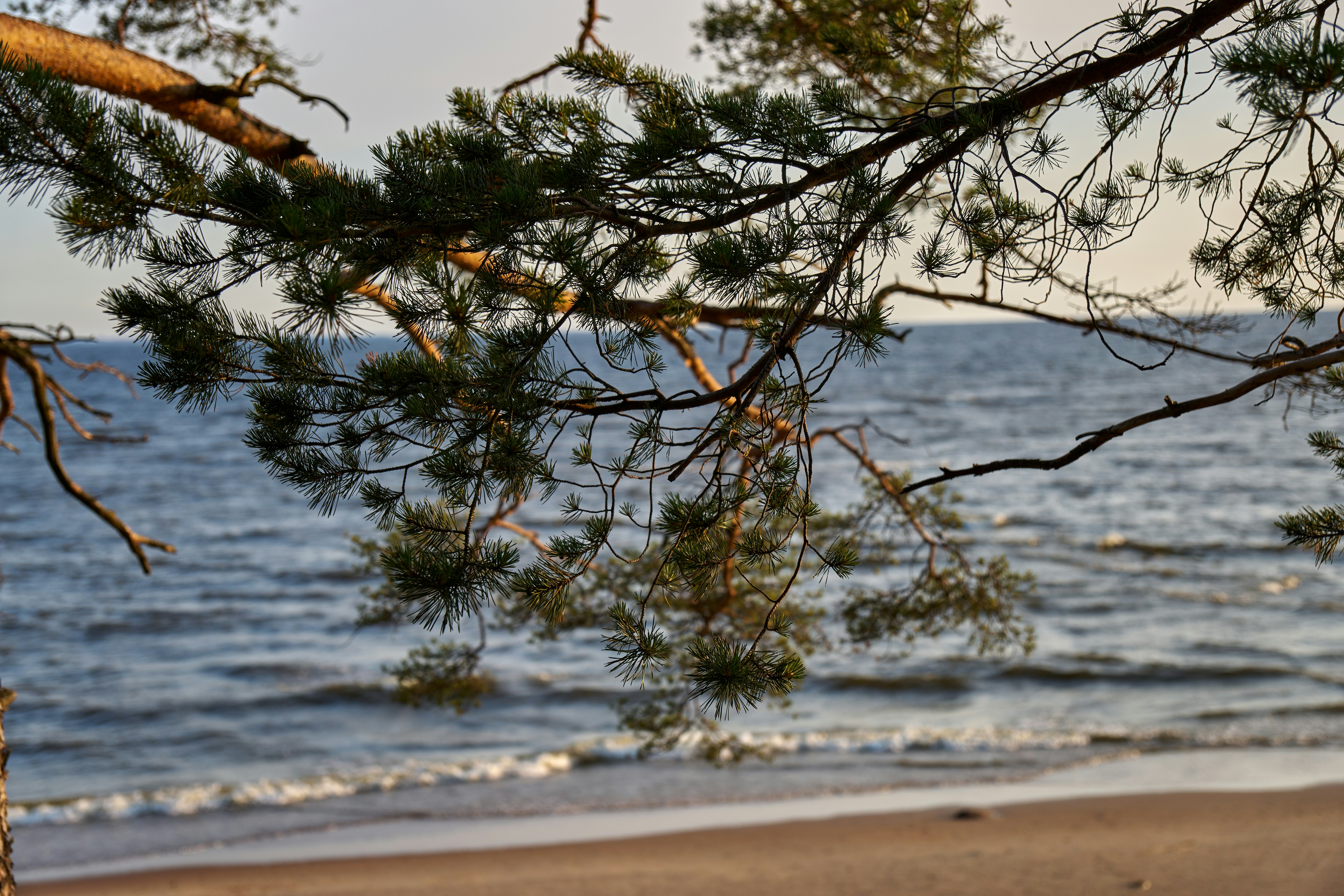 Photo by lostillusion