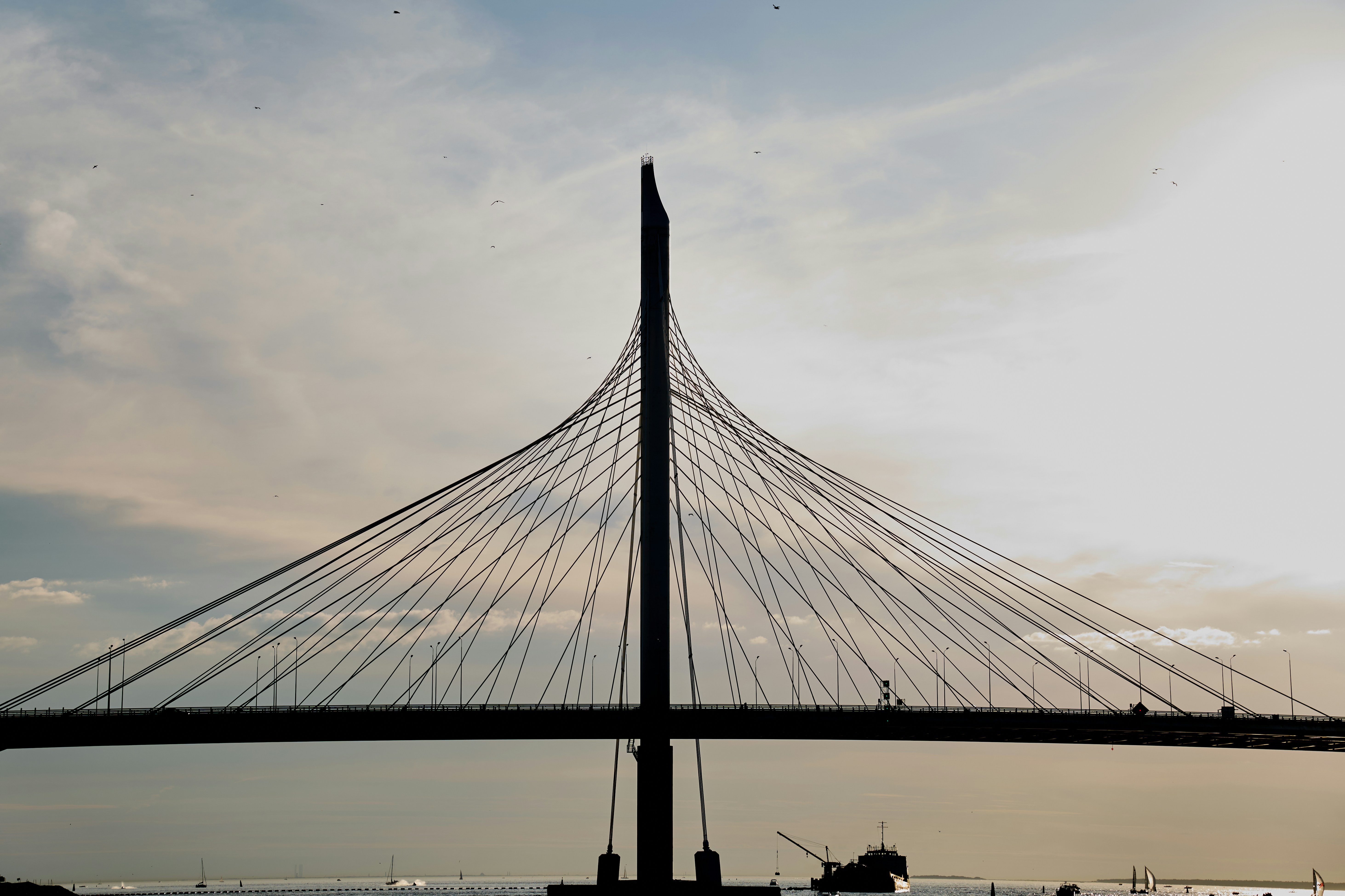 Photo by lostillusion