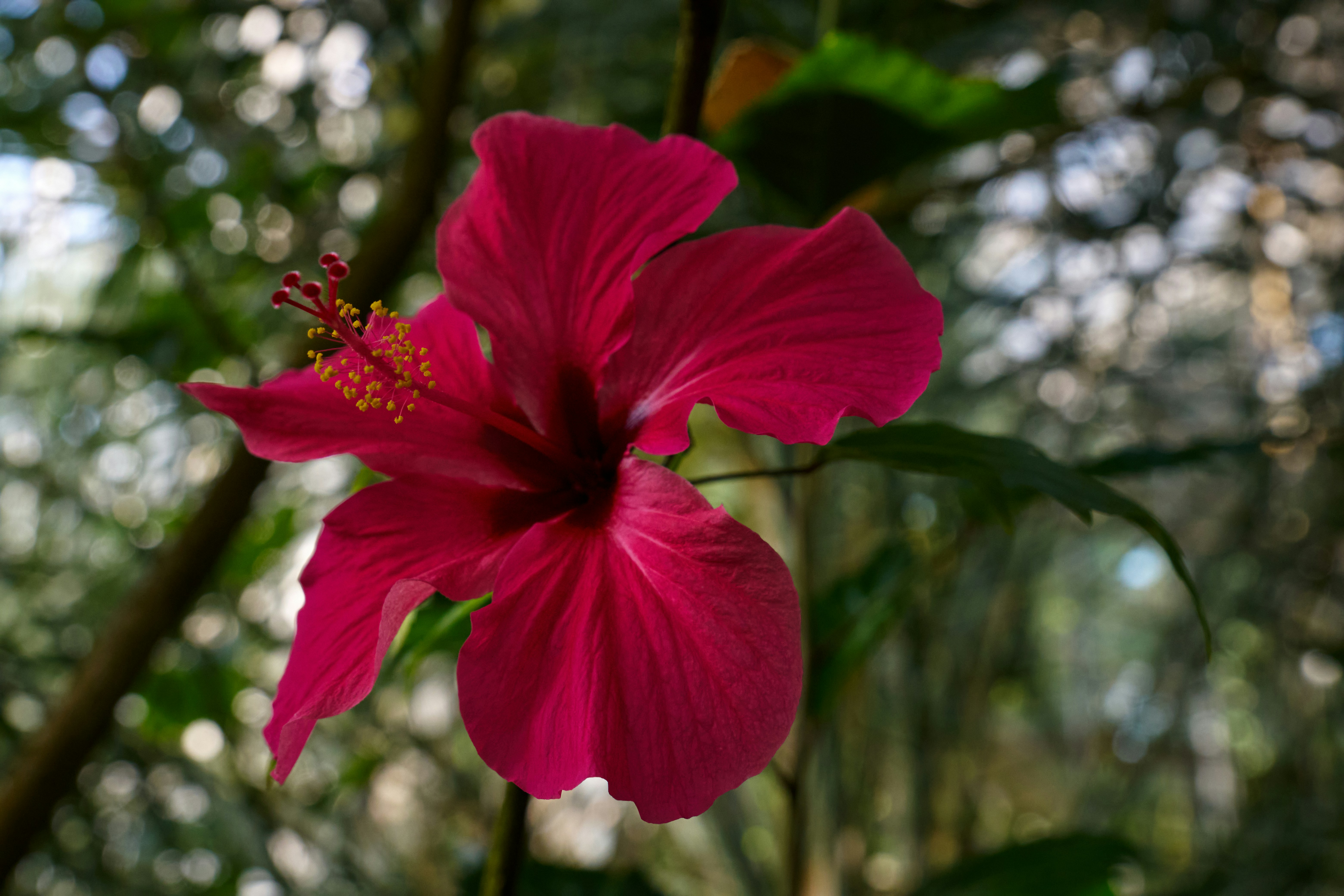 Photo by lostillusion