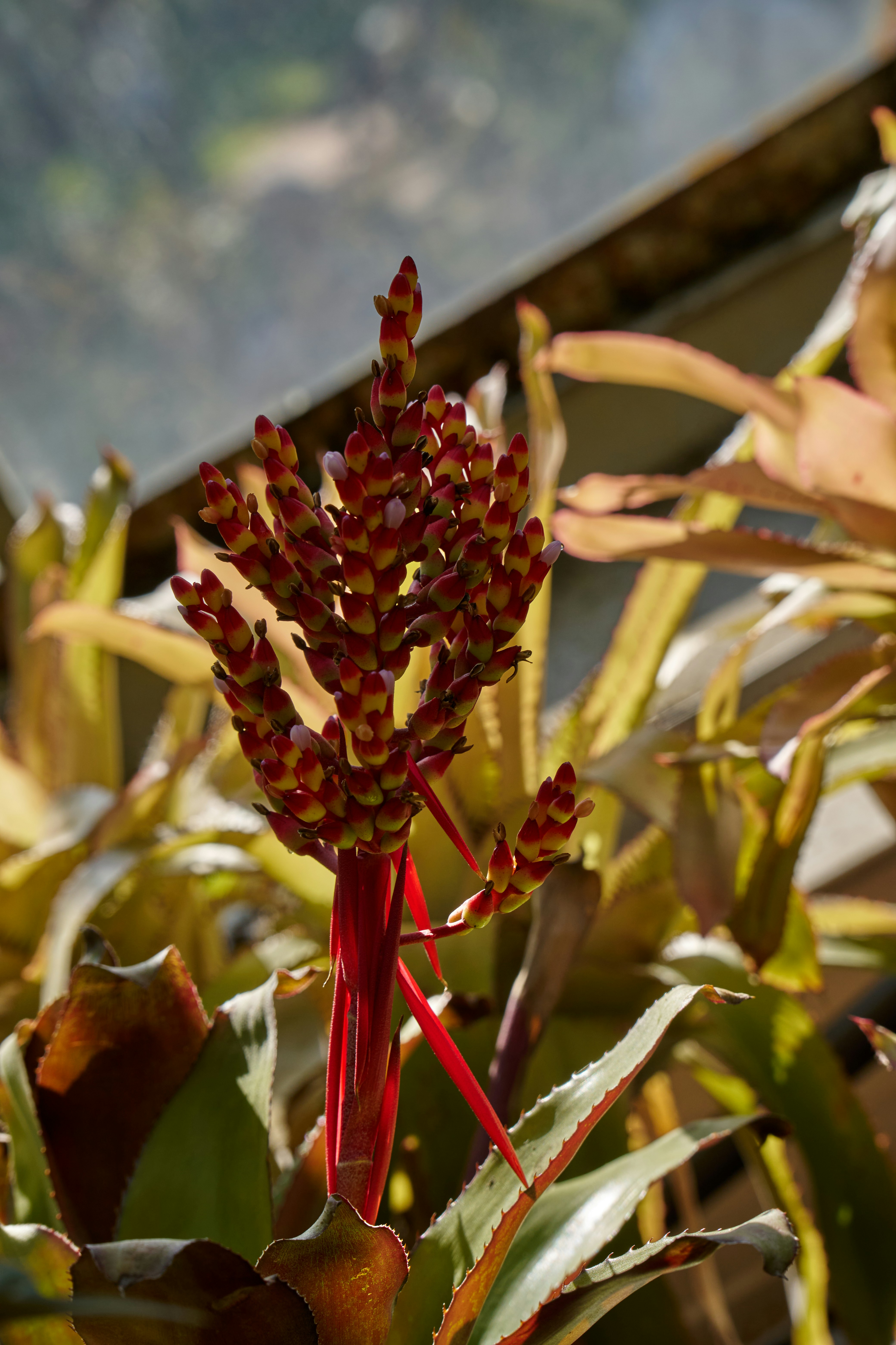 Photo by lostillusion