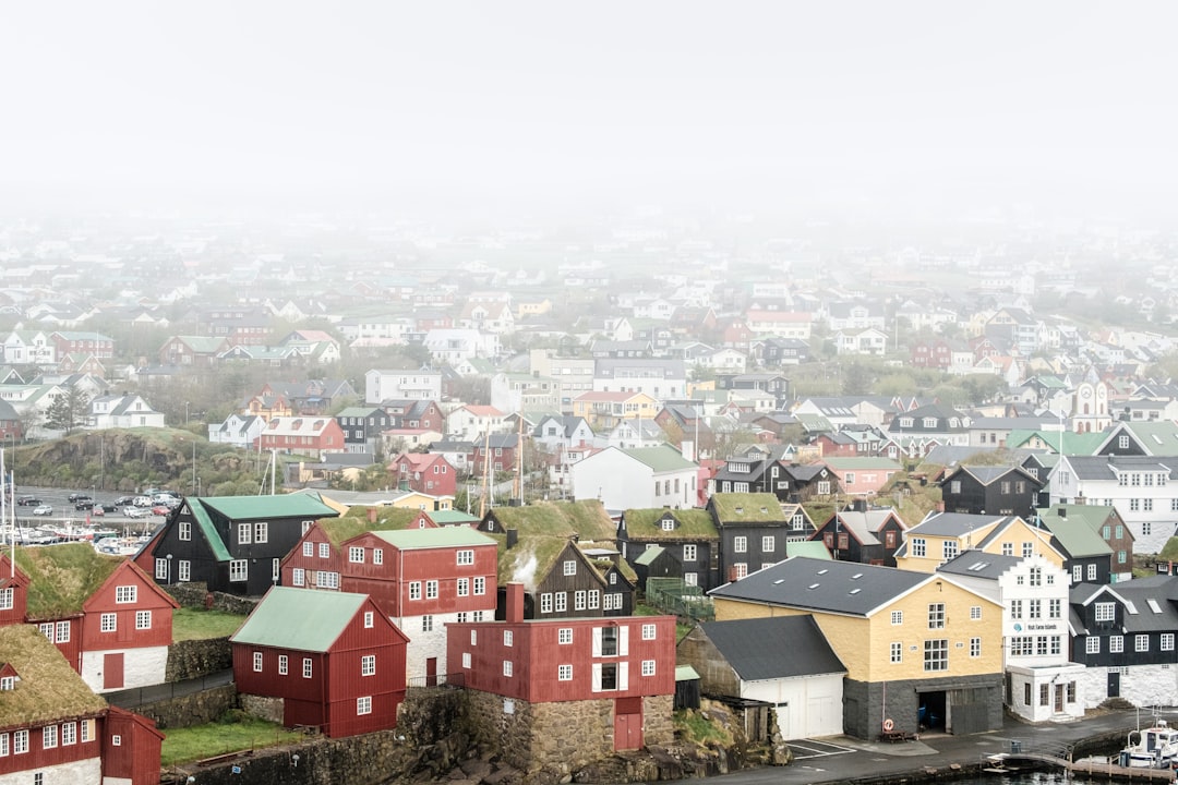 a city with a lot of houses on it,