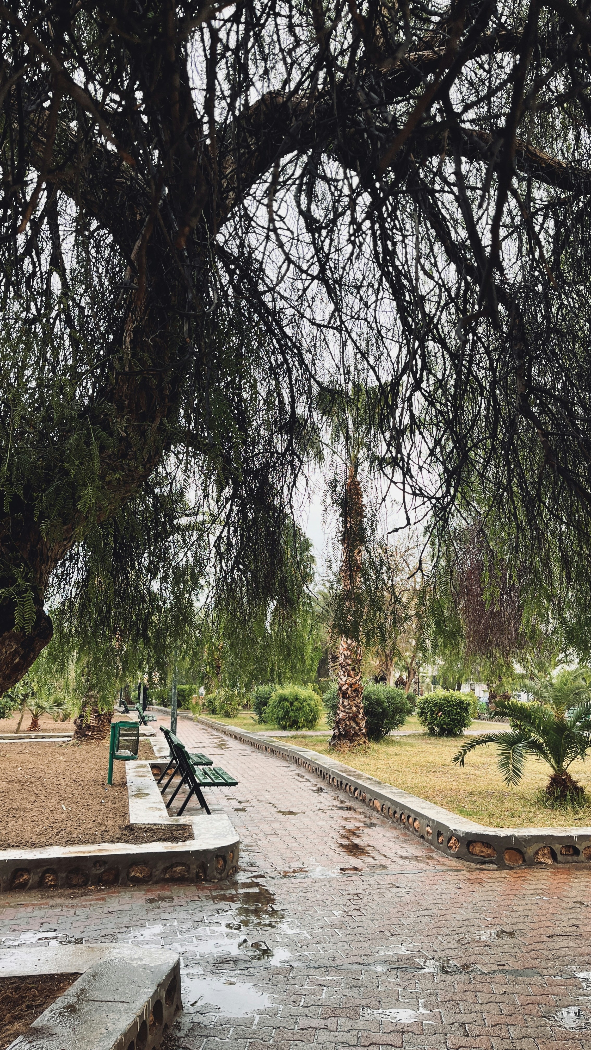 Photo by ghozzia_yacine