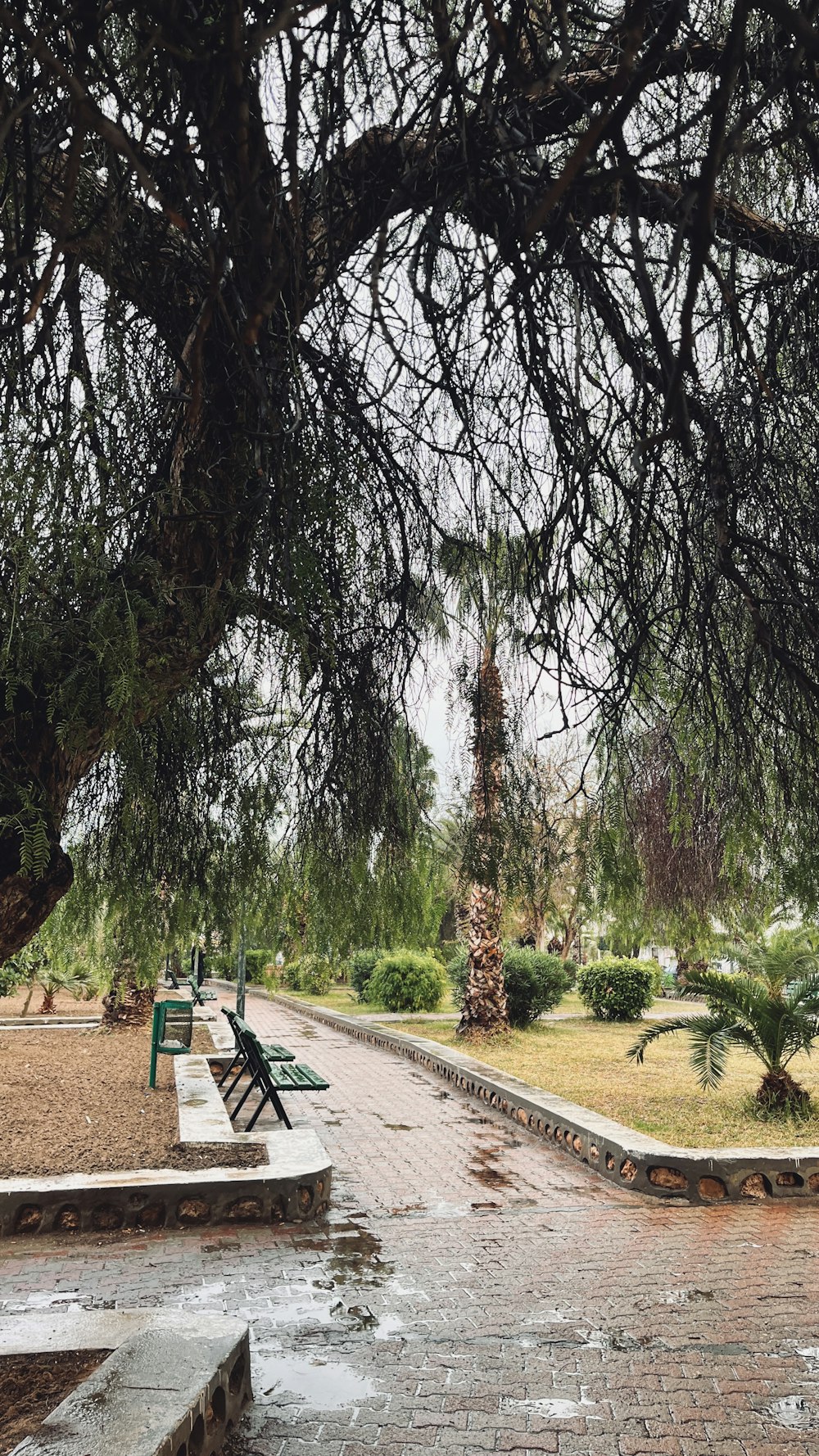 a bench under a tree in a park