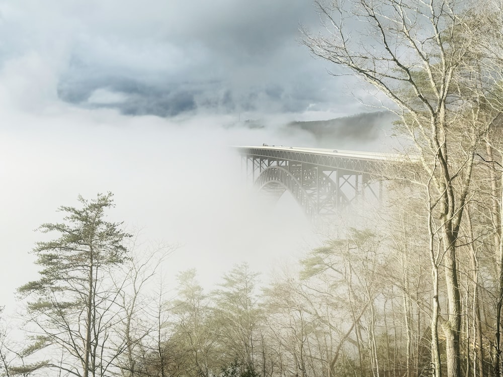 a train traveling over a bridge on a foggy day