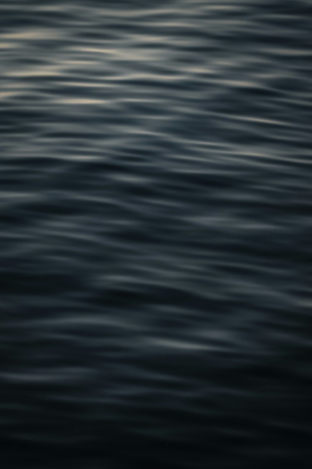 uma foto em preto e branco de um corpo de água