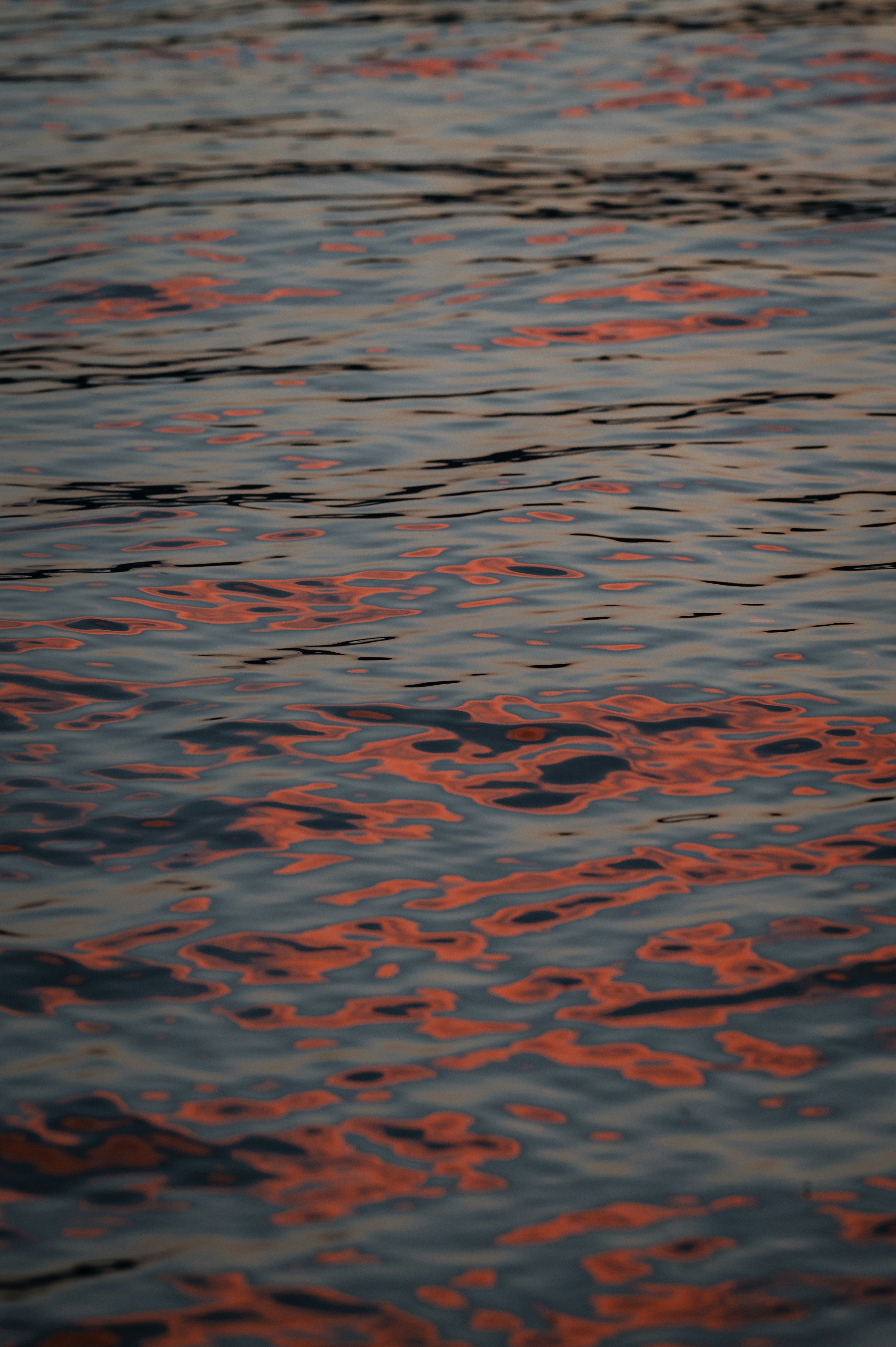 Tivat – Food & Dining Culture