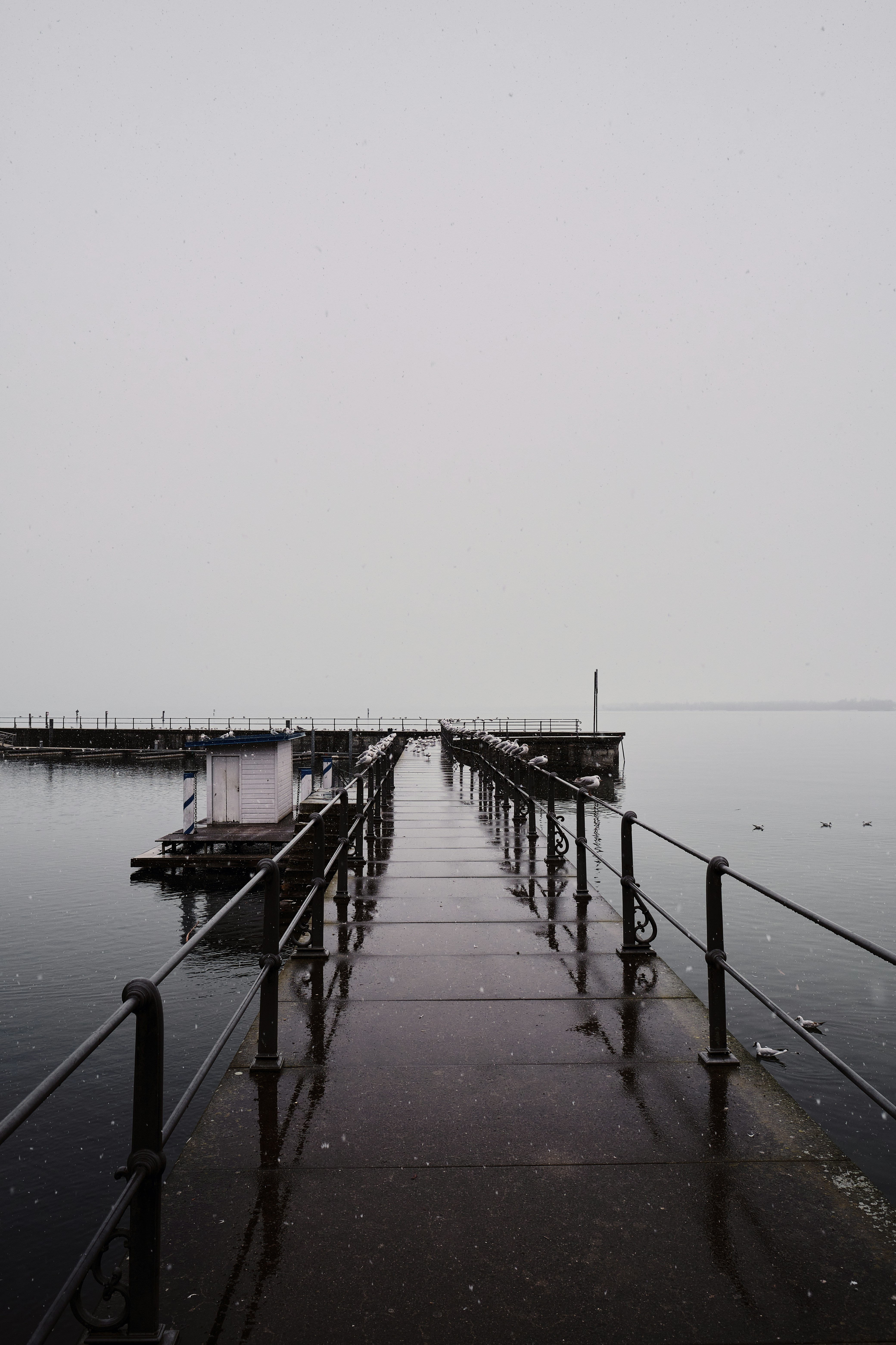 Photo by marcus_ganahl