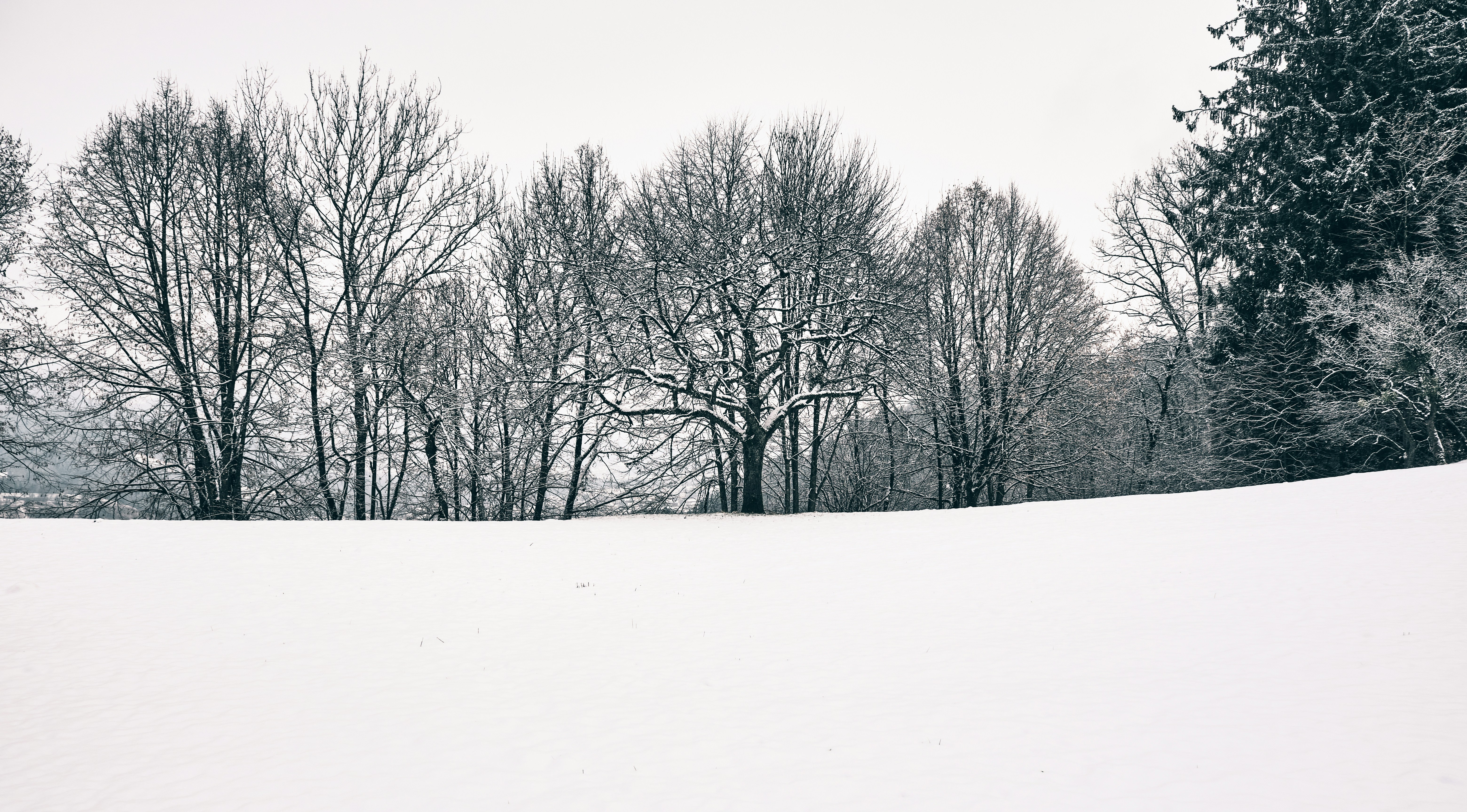 Photo by marcus_ganahl