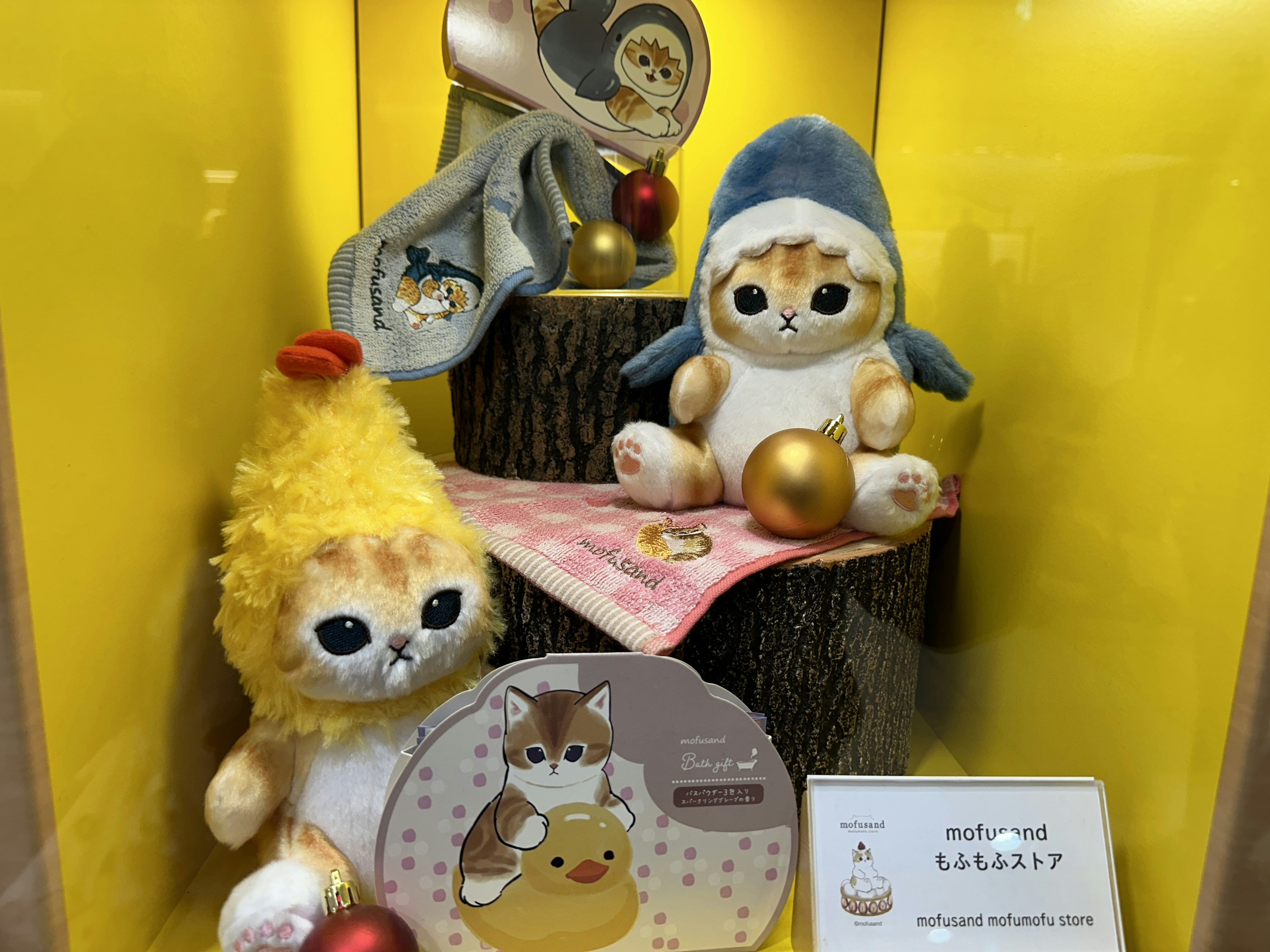 Cute pets with colorful pet accessories and toys