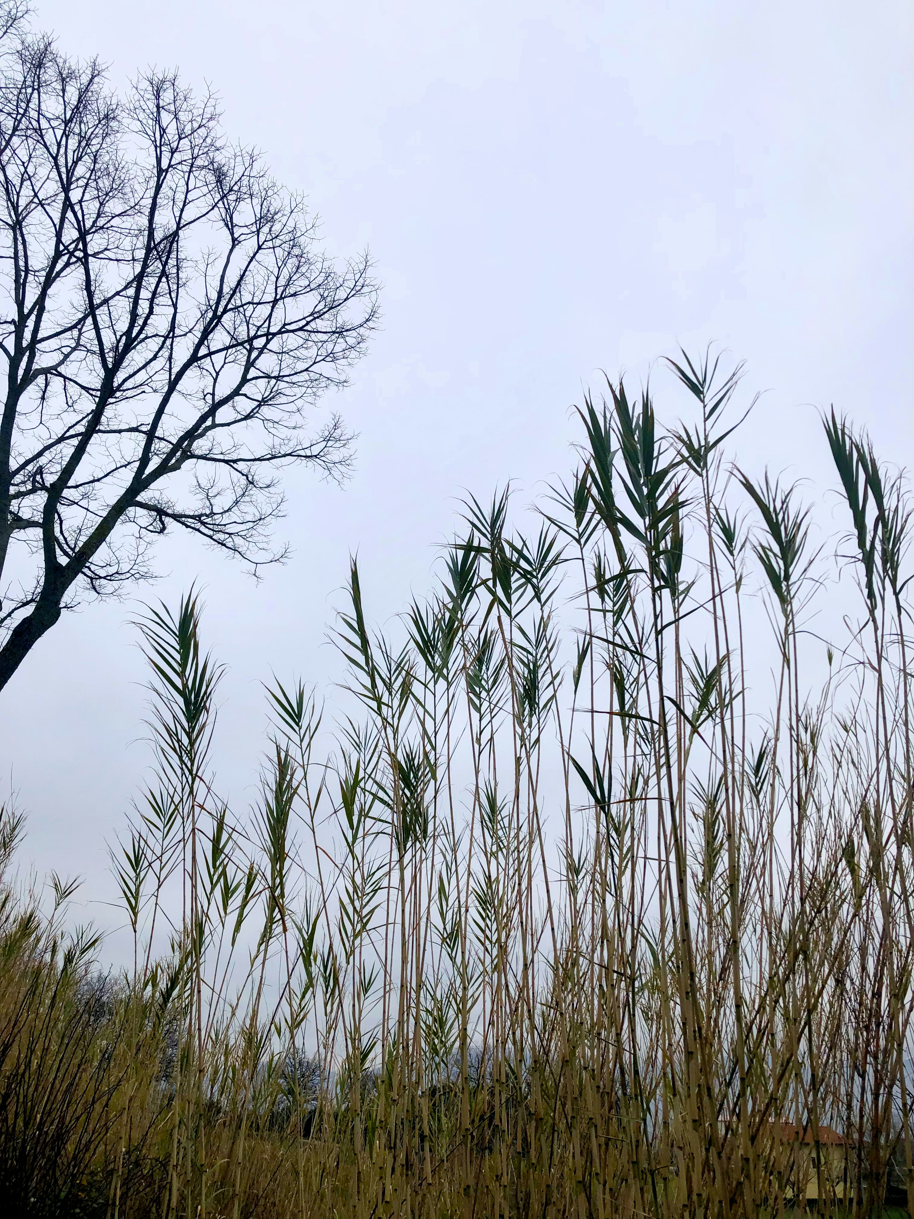 Photo by mariobeducci