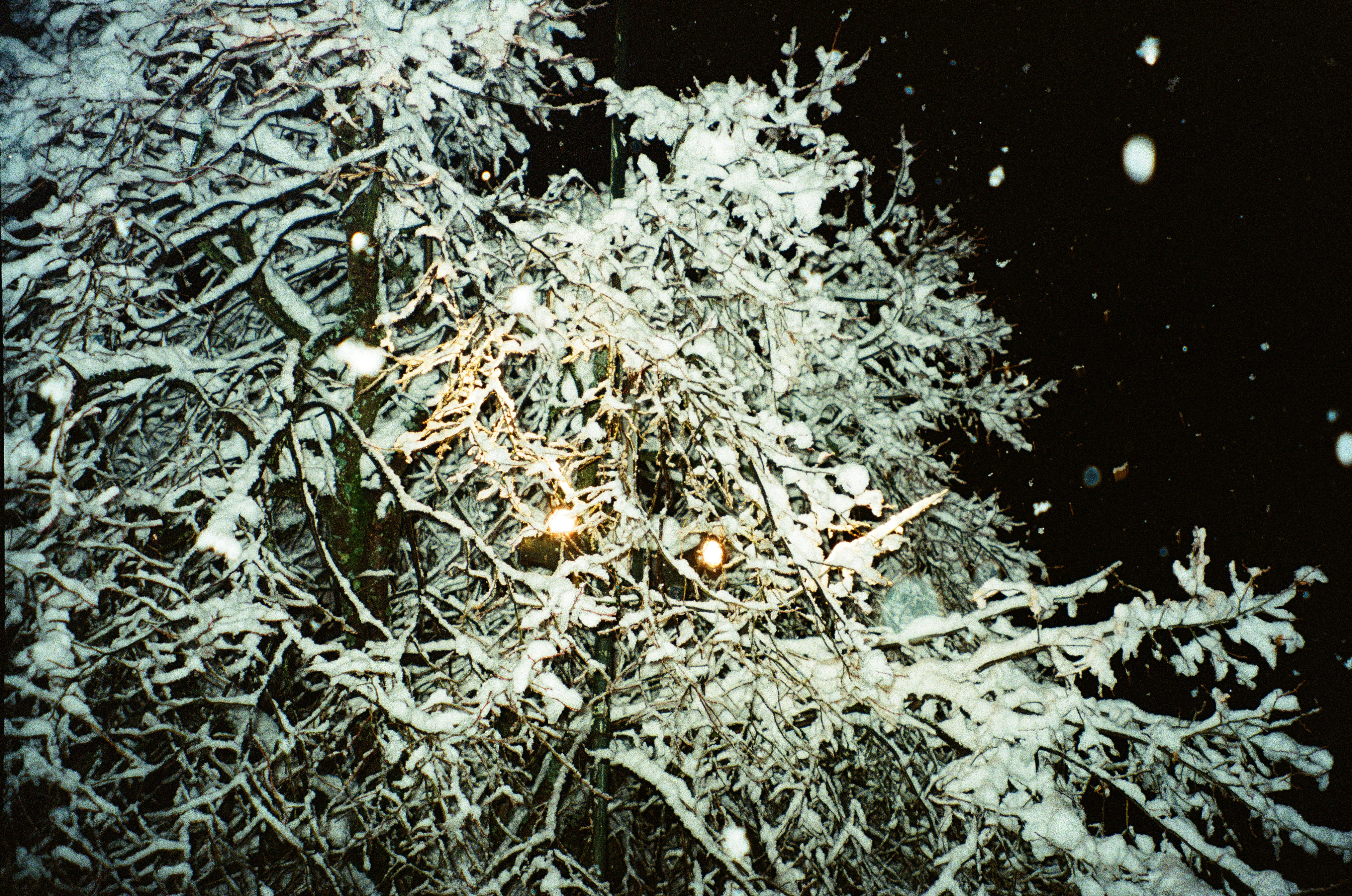 The Creator‑Led Microcinema Playbook (2026): Monetization, Tech, and Community