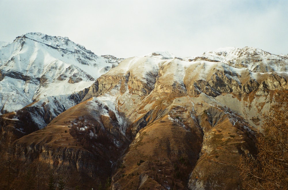 a mountain range covered in snow and brown trees