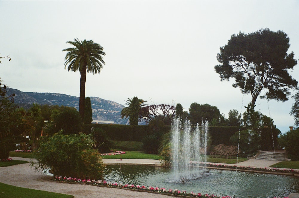 a water fountain in a park surrounded by palm trees