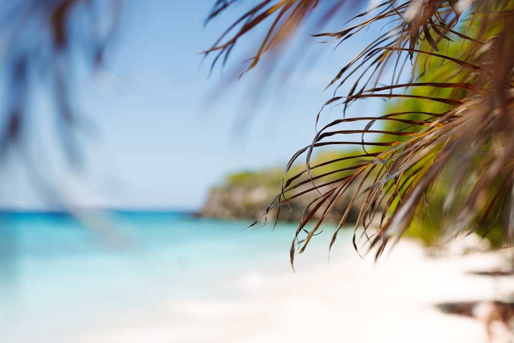 a blurry photo of a beach with blue water