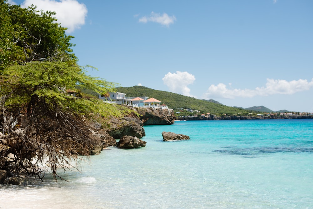 a beach with clear blue water and green trees