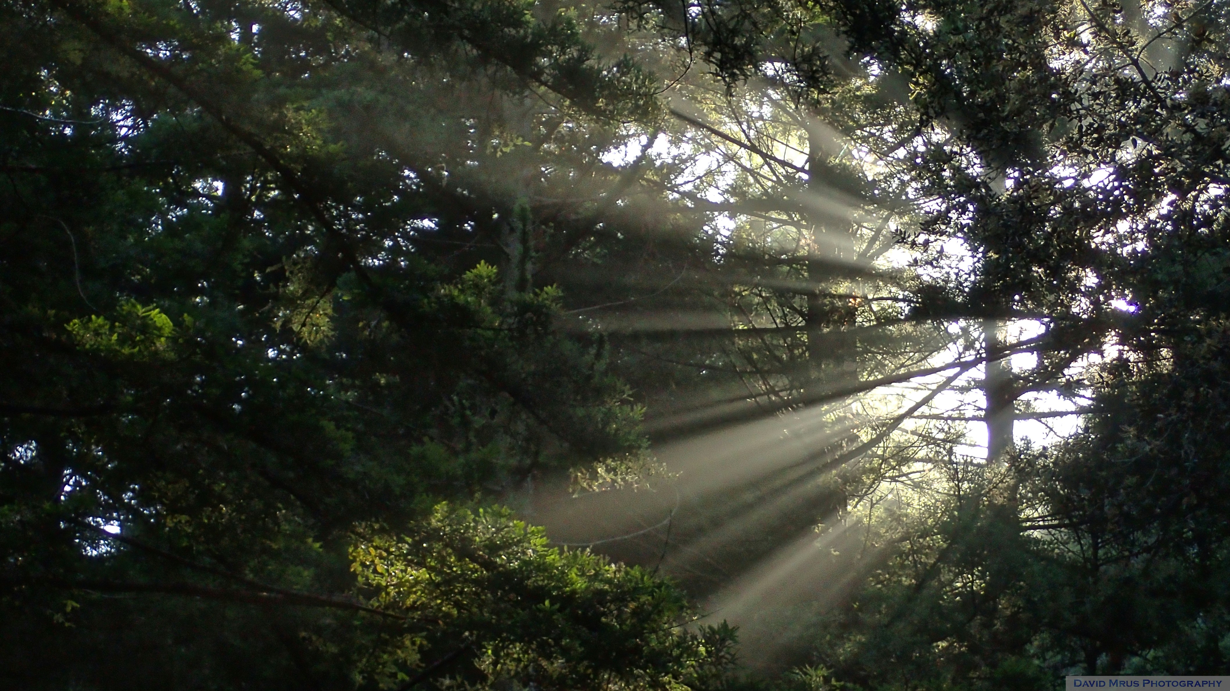 Photo by solaremergence