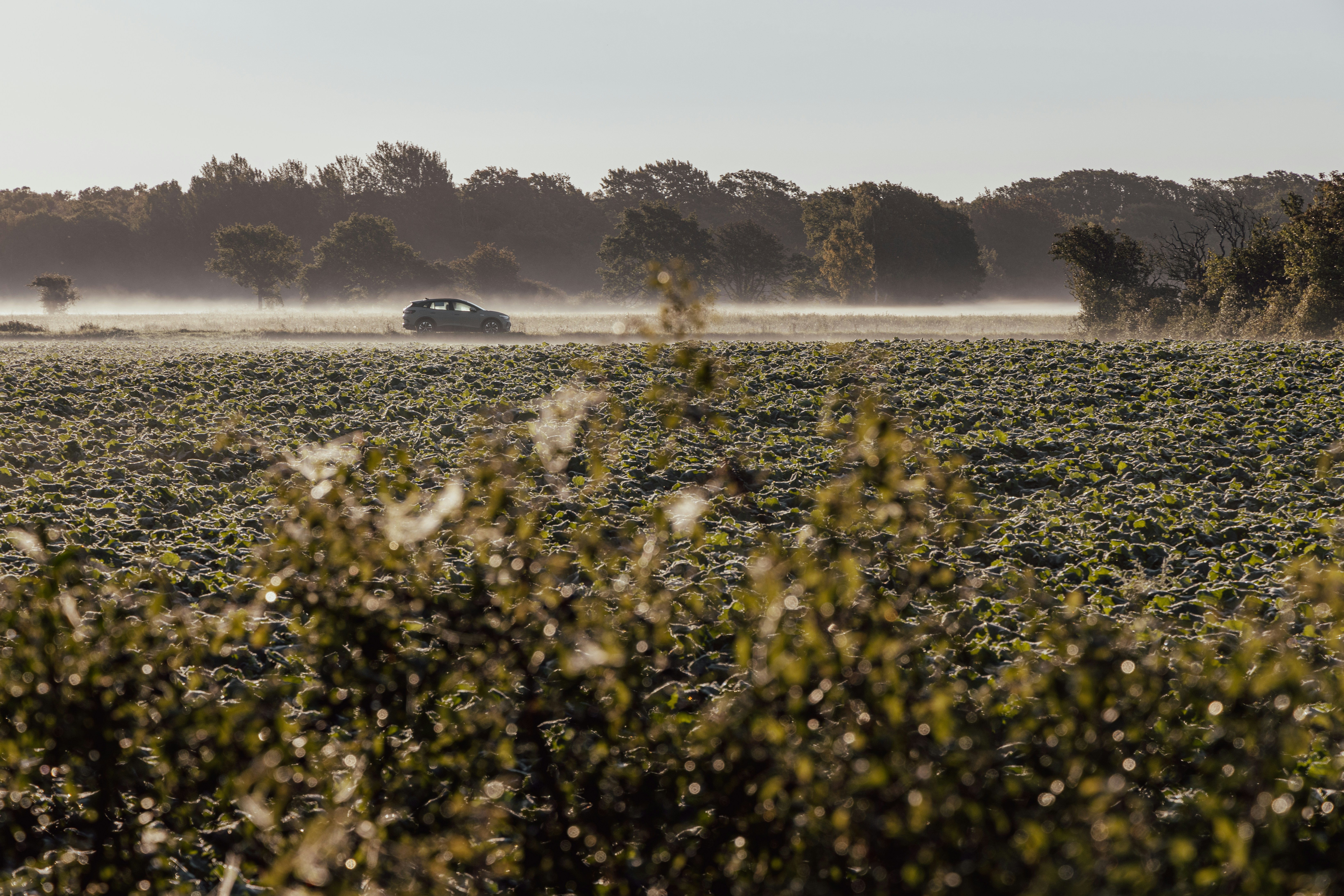 Blog header background