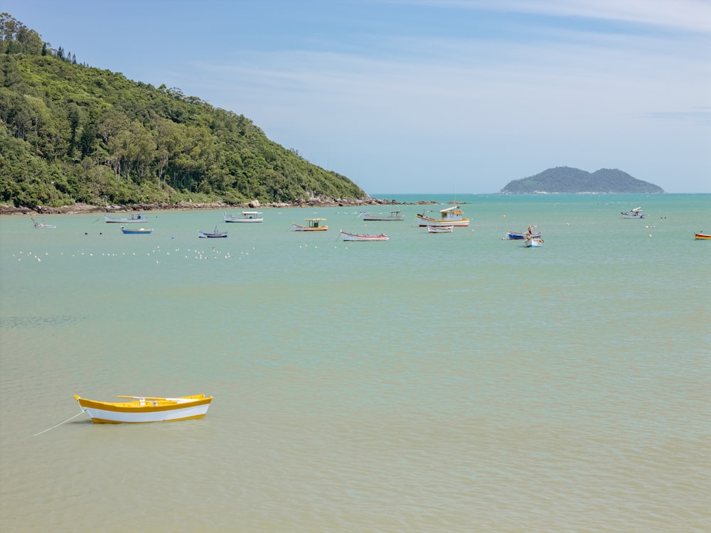 Un grupo de botes flotando sobre un cuerpo de agua