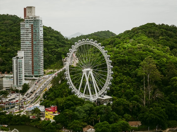 an aerial view of a ferris wheel in a city