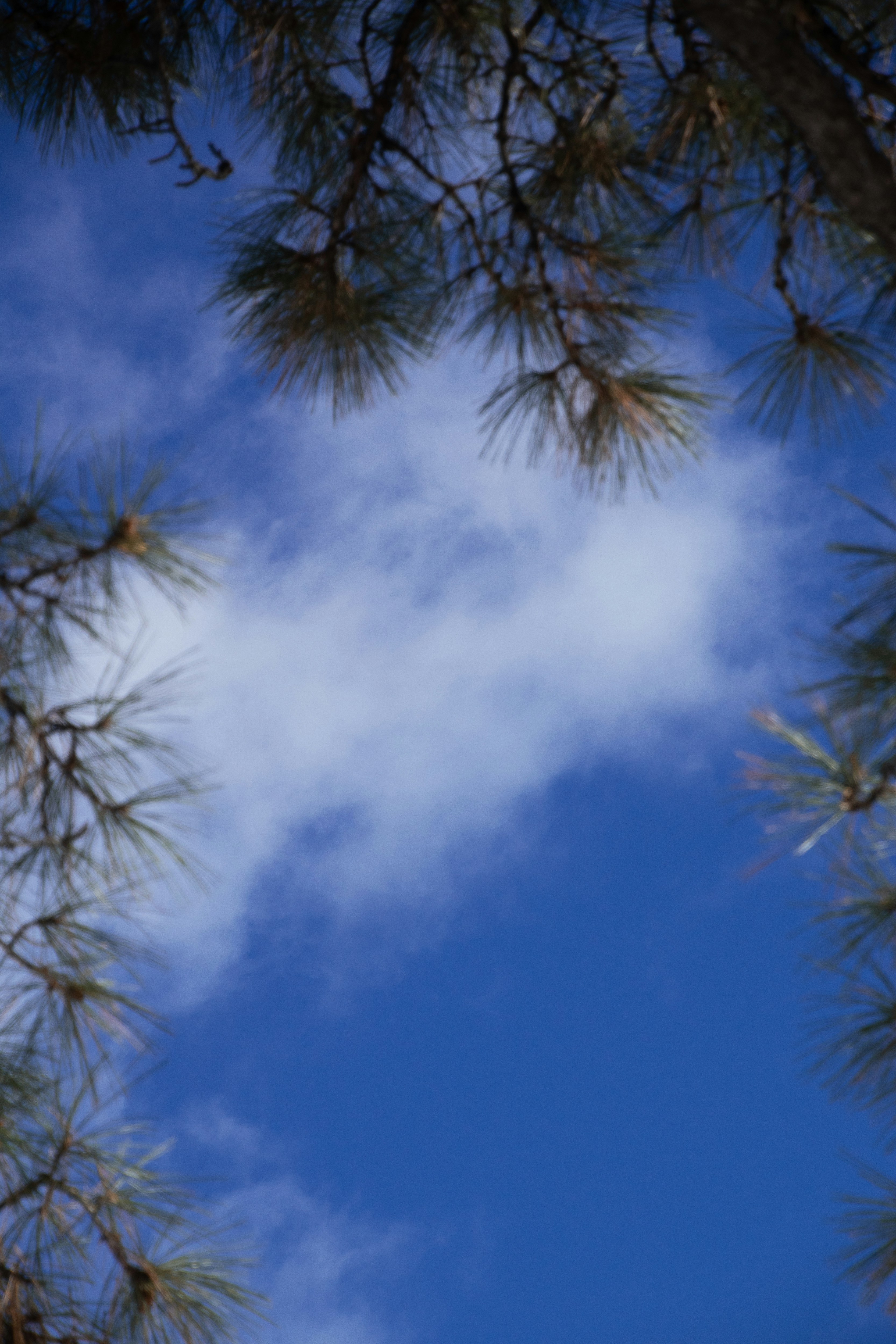 Photo by attaliehart