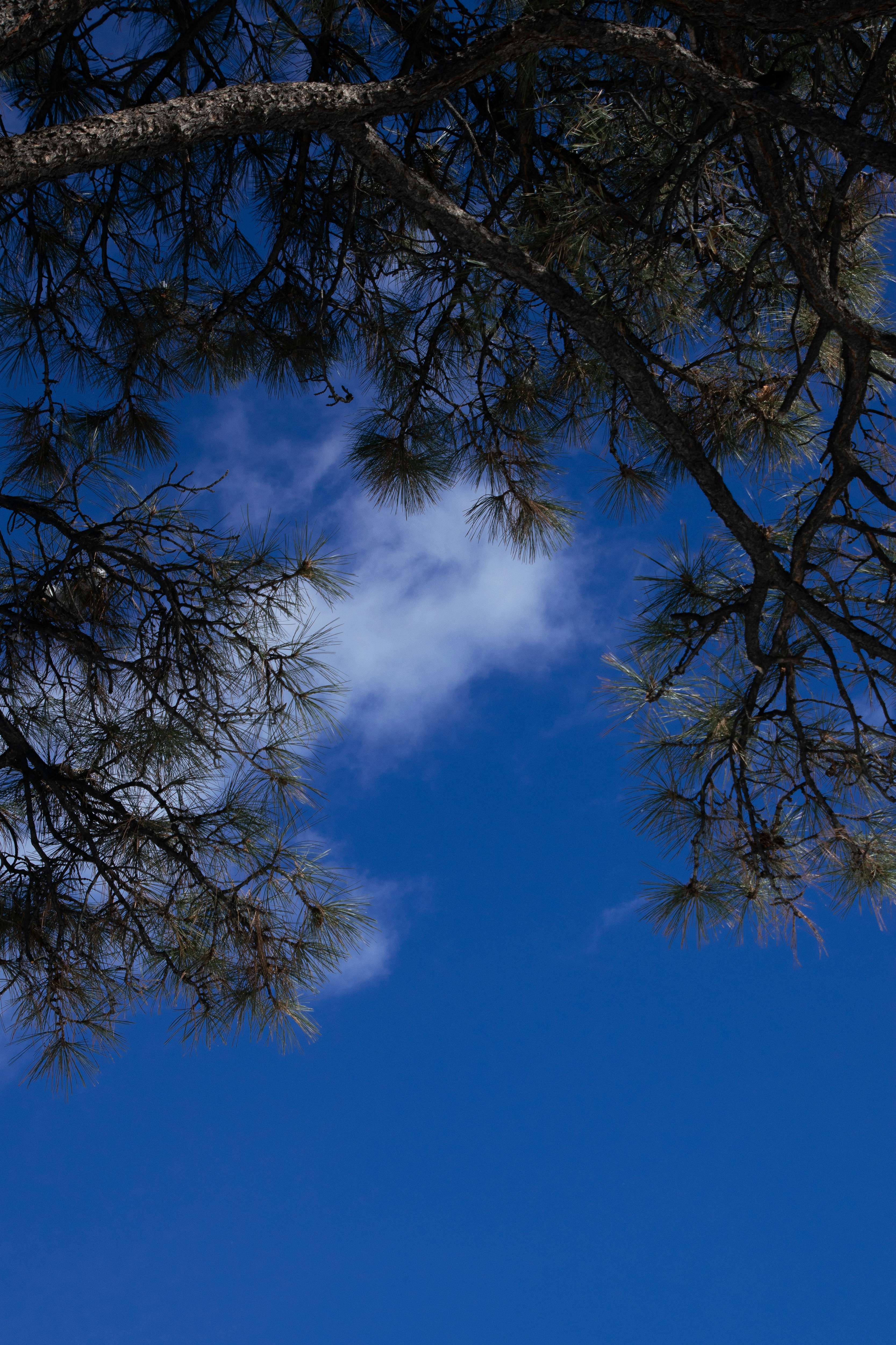 Photo by attaliehart