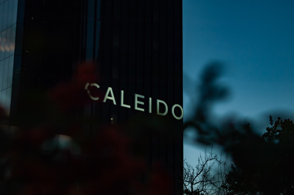 a close up of a building with a tree in the foreground