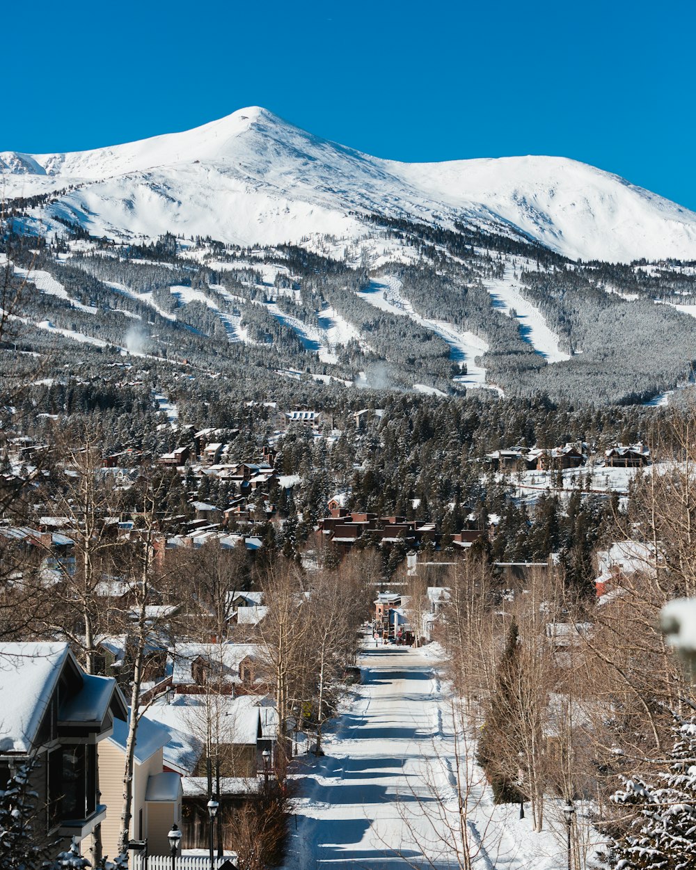 a view of a town with a mountain in the background