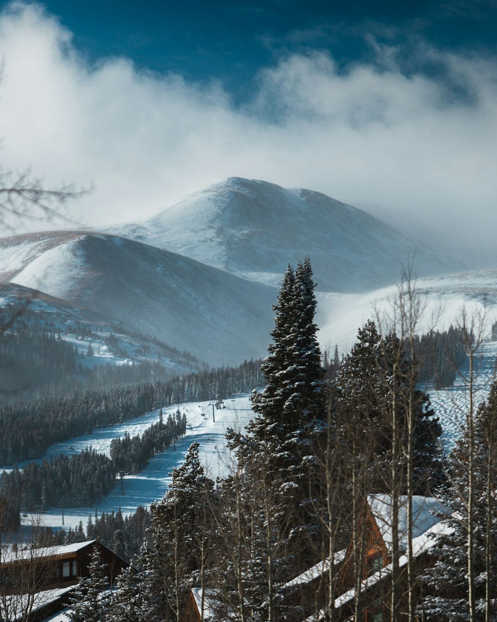 a mountain covered in snow and surrounded by trees