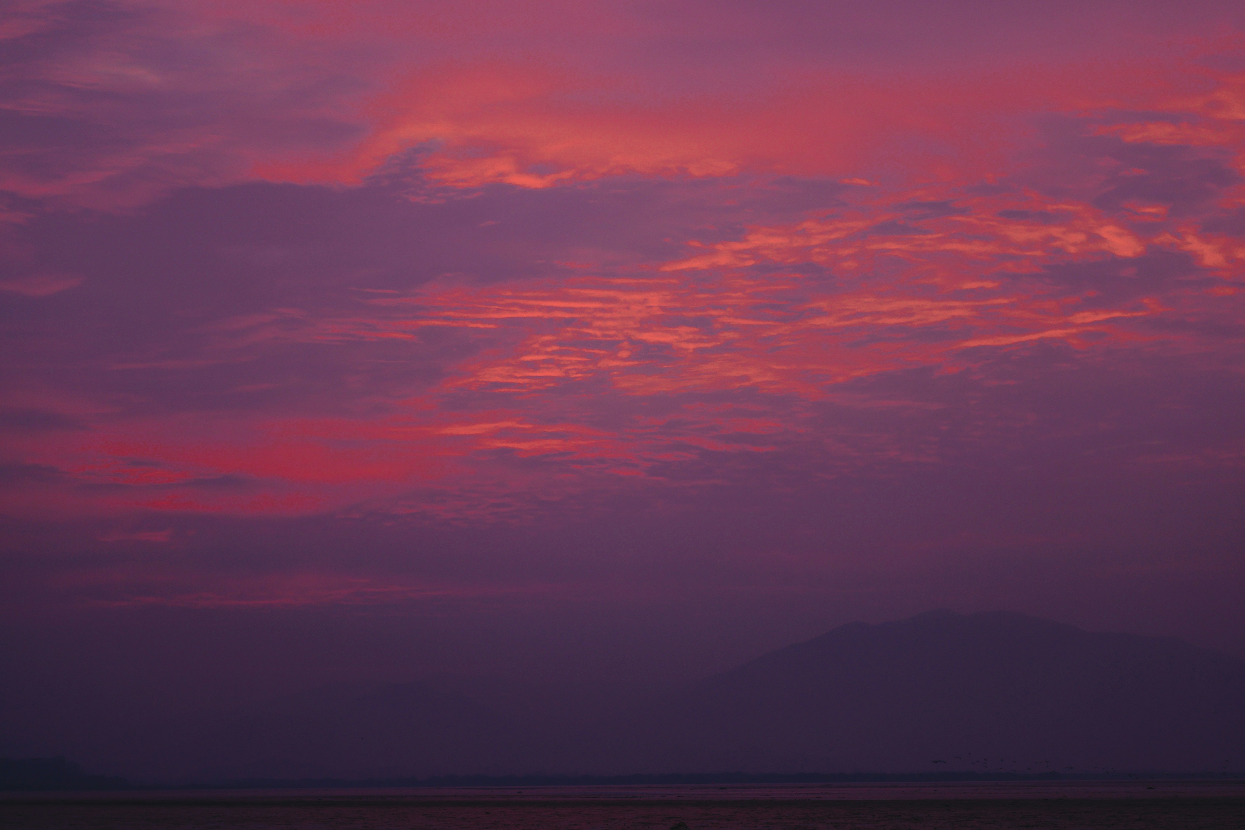 Photo by dickenslin76