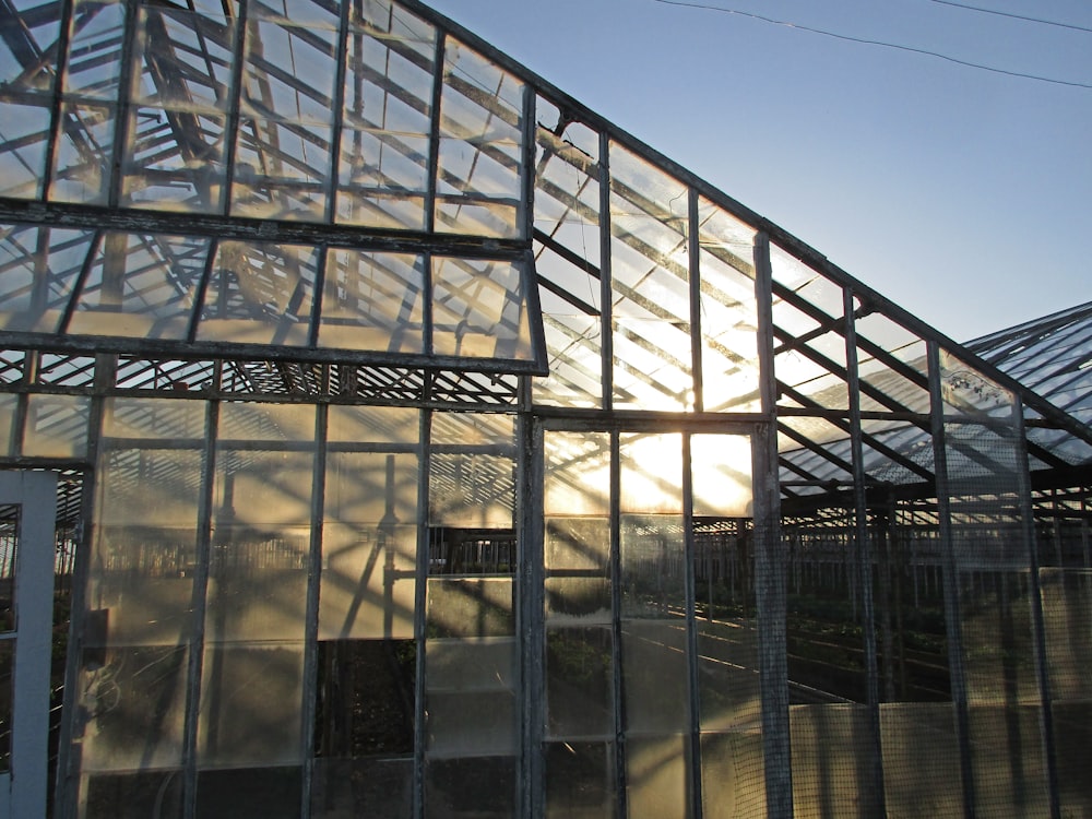 the sun is shining through the windows of a greenhouse