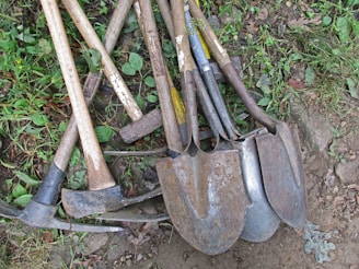 a pile of shovels and forks laying on the ground