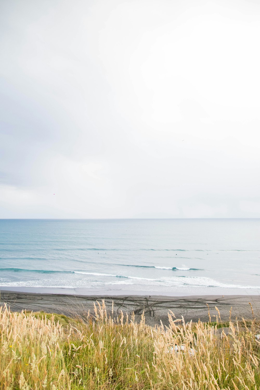 a person riding a horse on a beach near the ocean