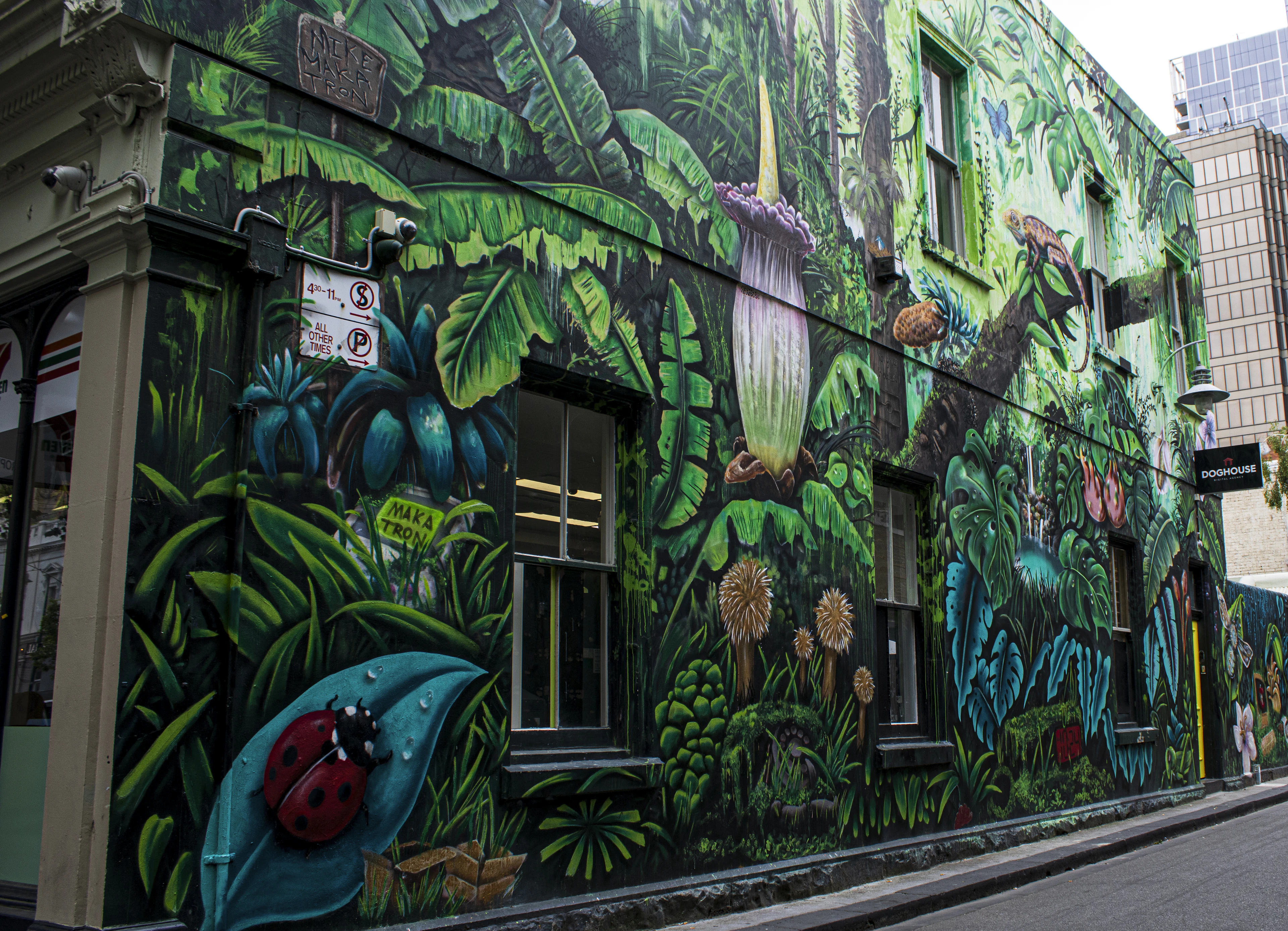 Australia — photo 3