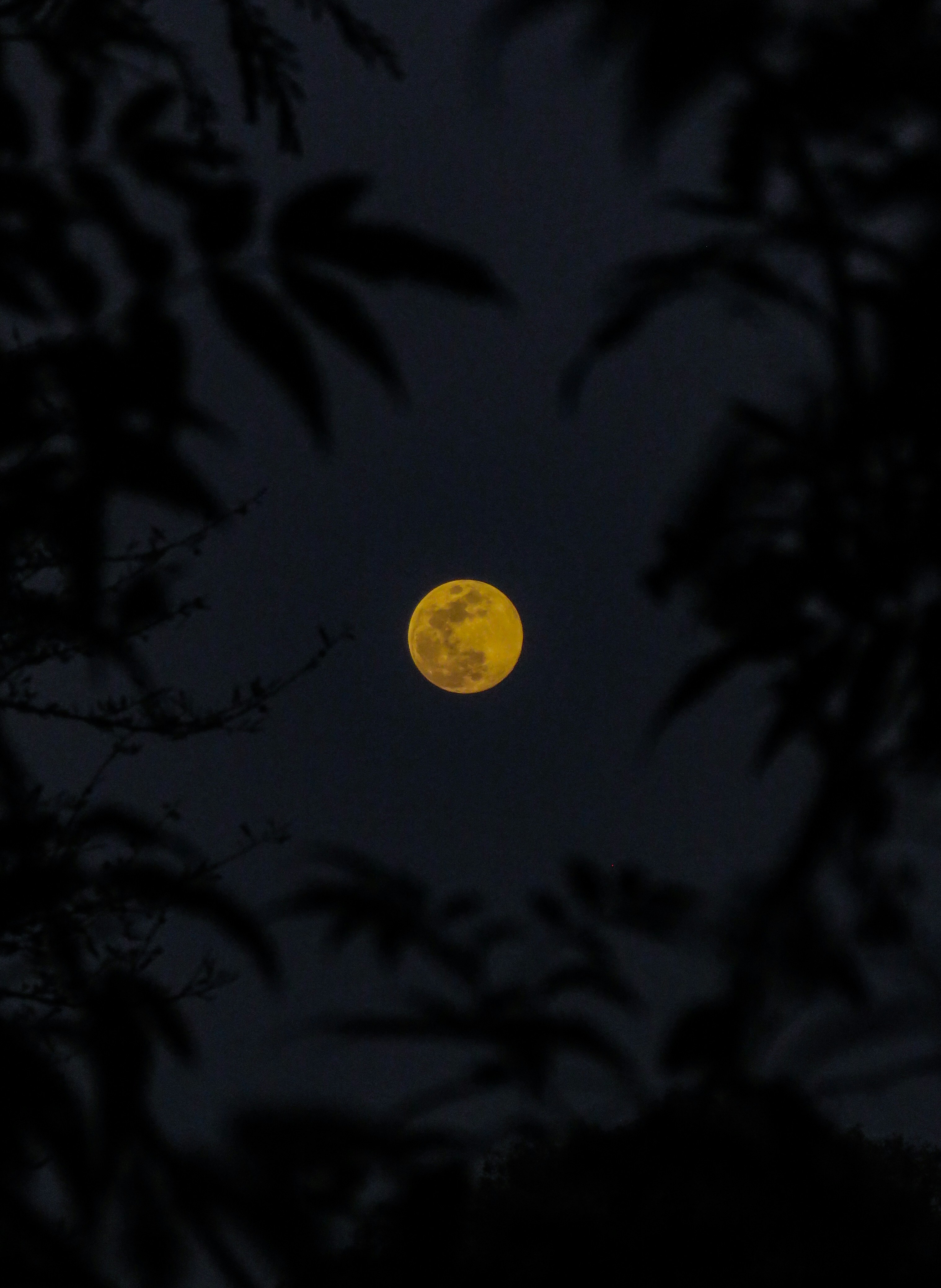 Photo by anandramavath_786