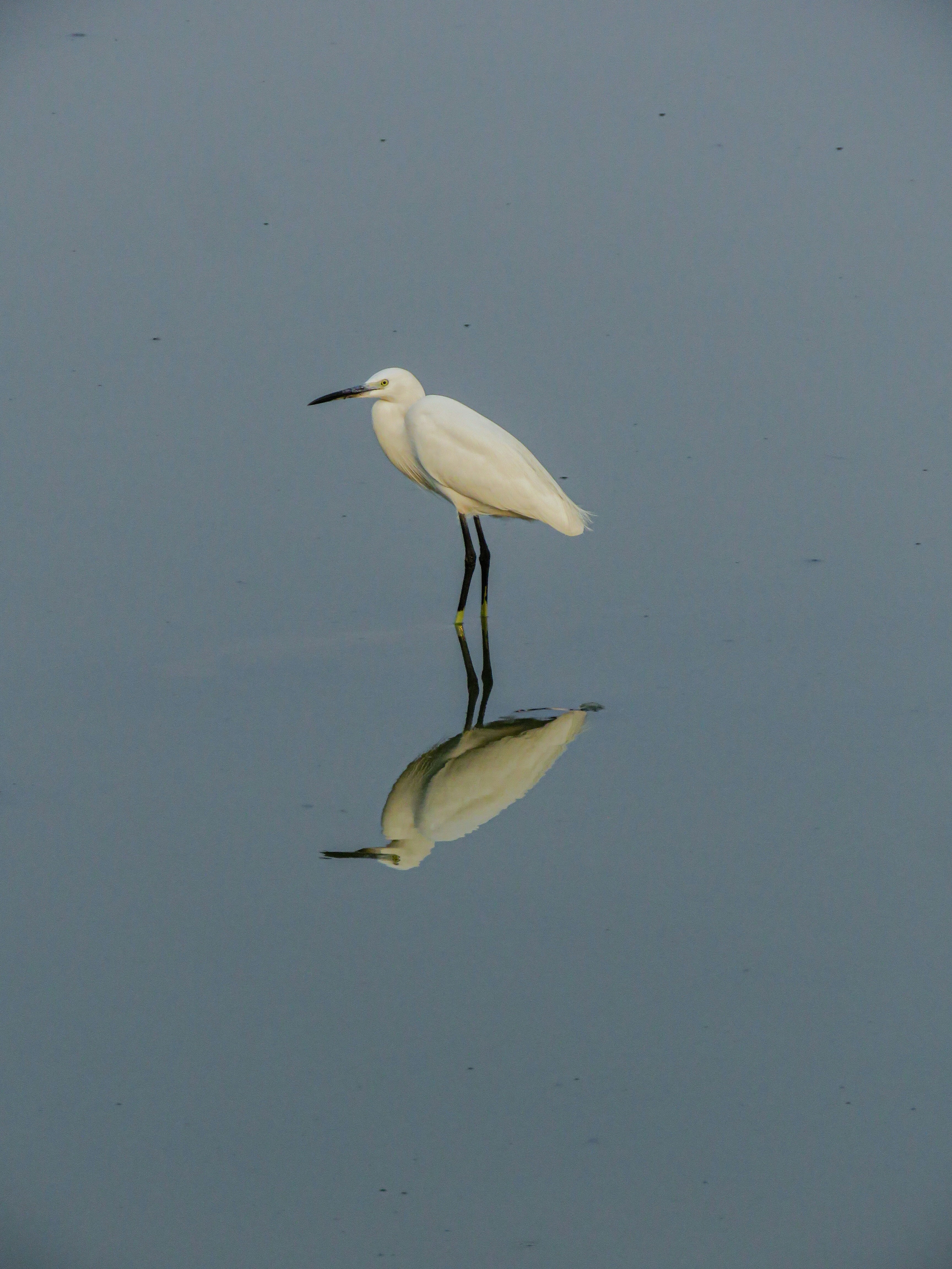 Photo by anandramavath_786