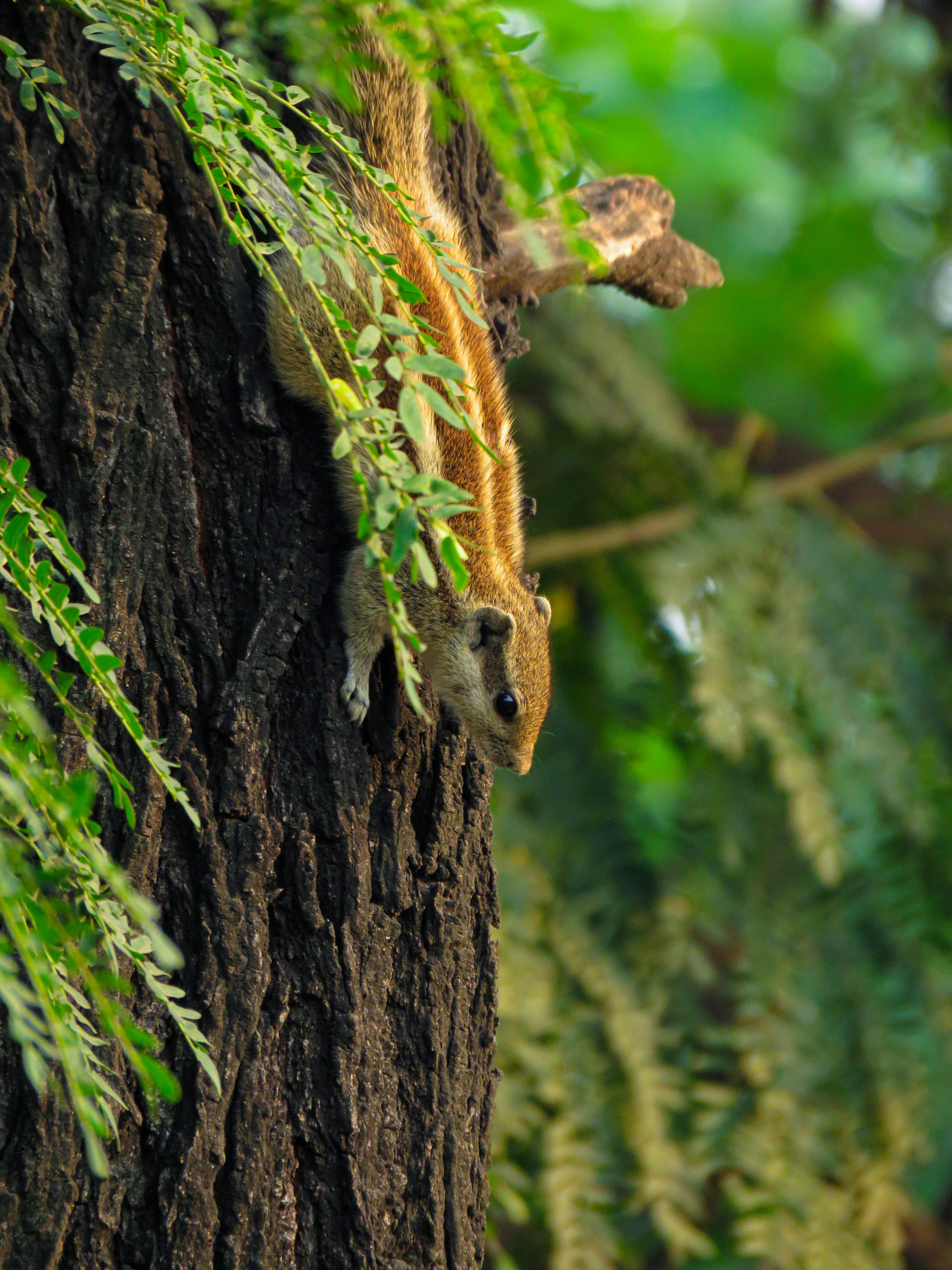 Photo by anandramavath_786