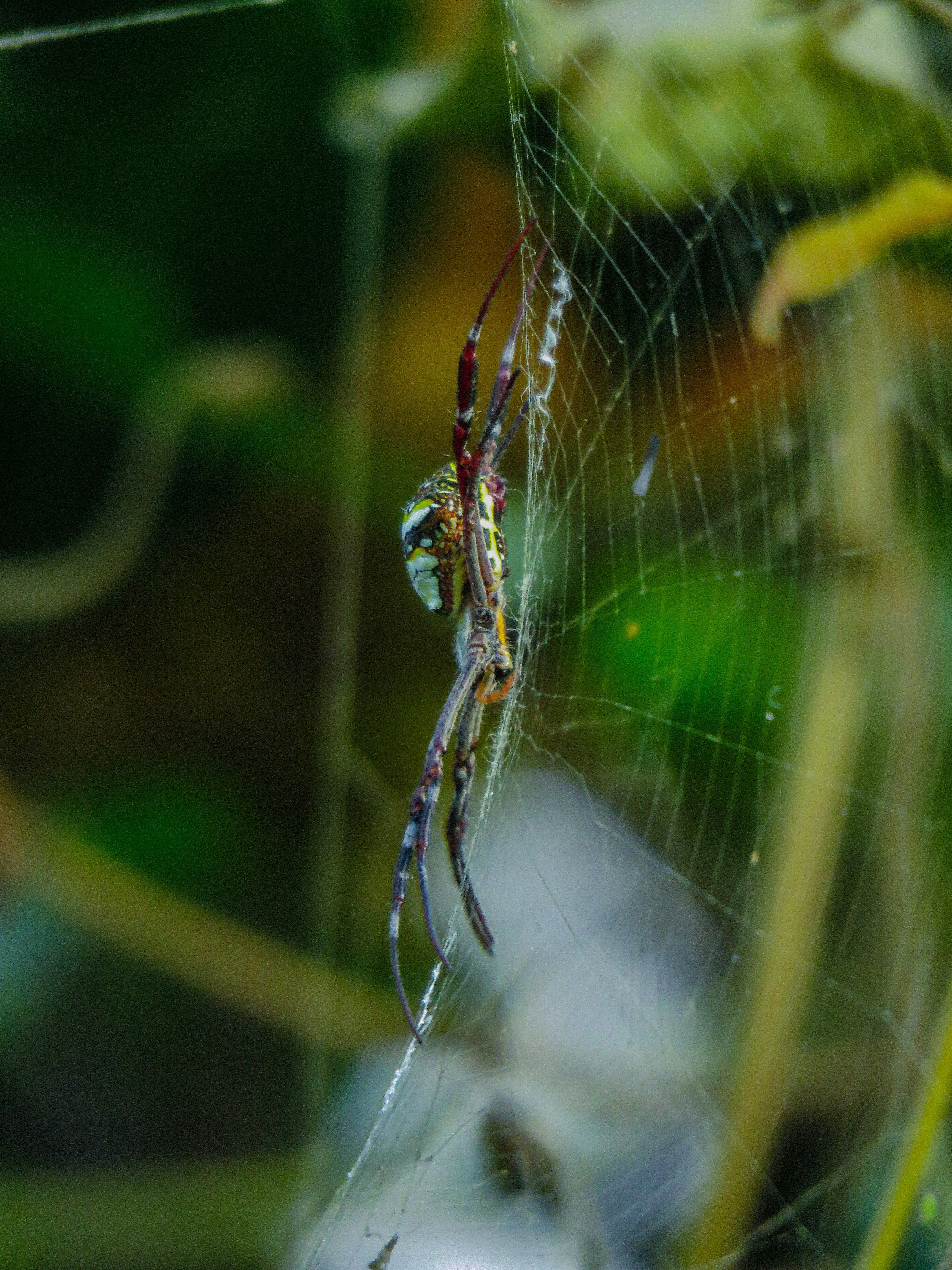 Photo by anandramavath_786