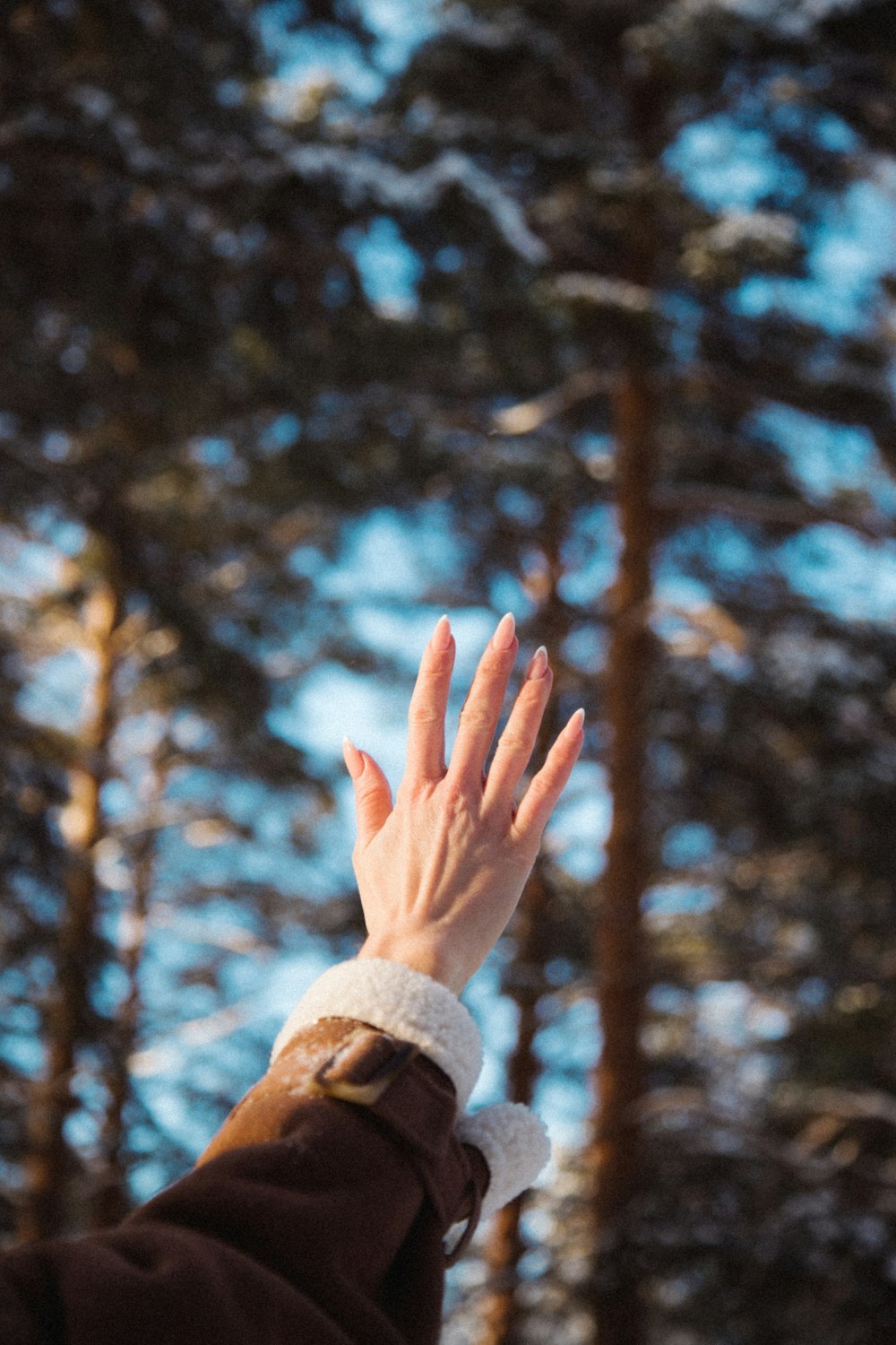 a person reaching up into the air with their hand