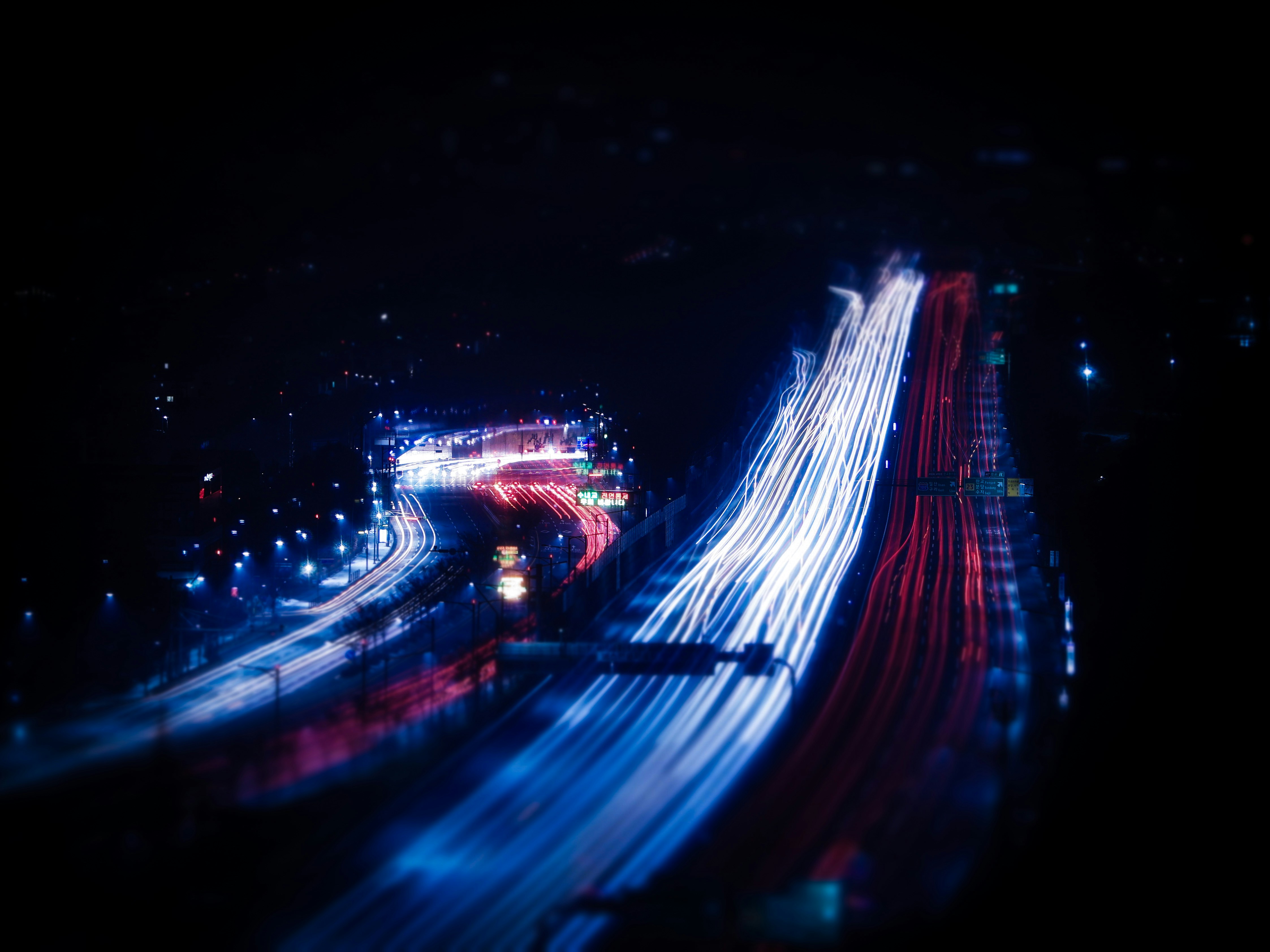 Photo by horseratbros