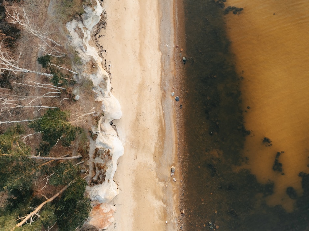 an aerial view of a sandy beach and trees